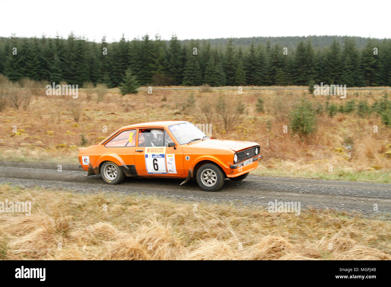 Kielder Forest, Northumberland, Großbritannien, 28. April 2018. Rallye Fahrer konkurrieren in der Pirelli internationale Rallye und der FUCHS Schmiermittel MSA British historischen Rally Championship. (Spezielle Phase 1 - Pundershaw 1). Andrew Cheal/Alamy leben Nachrichten Stockfoto