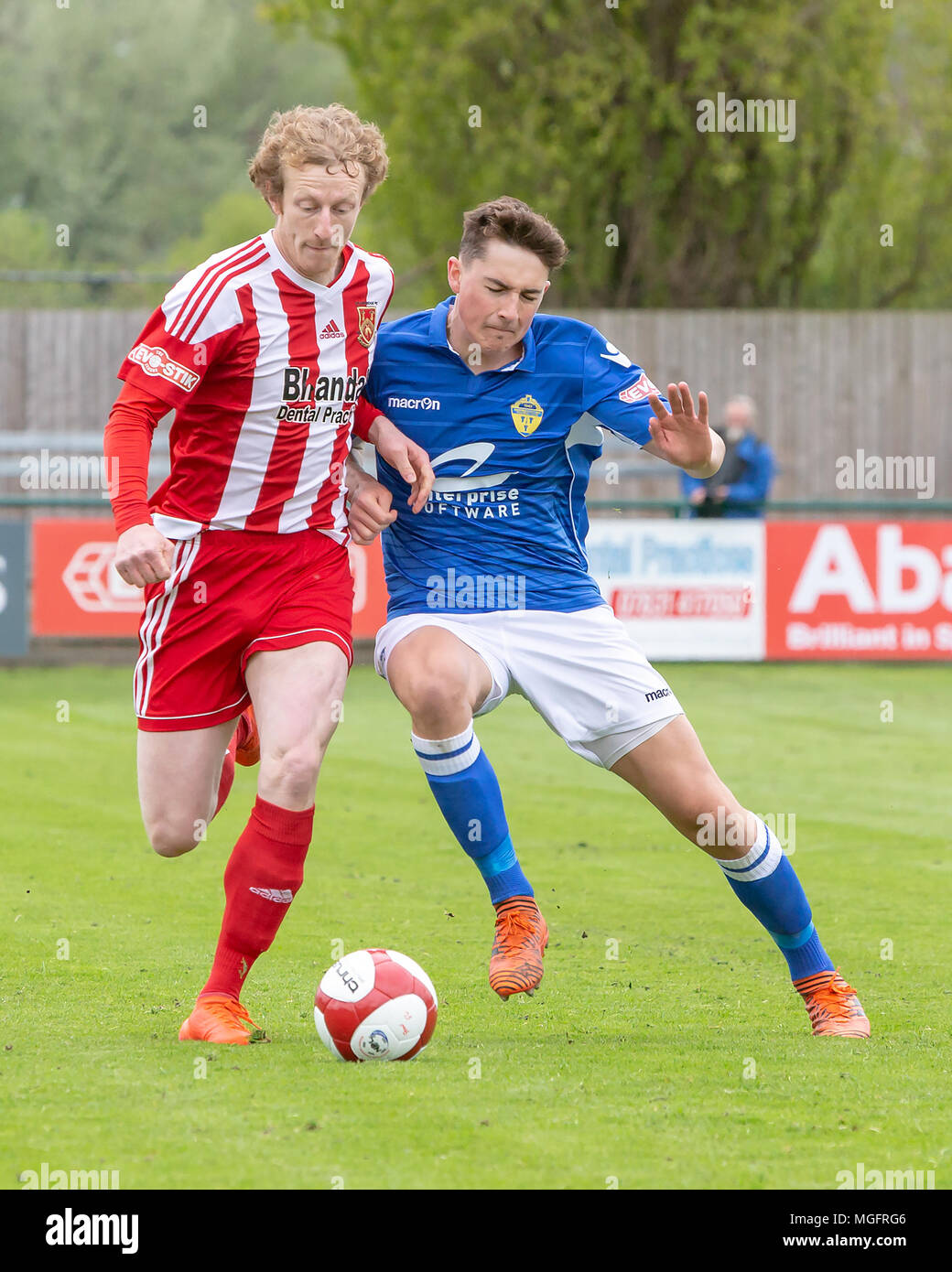 Stourbridge, UK. 28. April 2018. Warrington Town FC spielte am Stourbridge FC in der Tabelle oben Play-off-Kampf in der Evo-Stik Premier Division am Samstag, 28. April 2018. Die gelben, blauen, benötigt nur einen Punkt 2. in der Liga zu beenden, verlor aber 2 - 1 auf die Home Seite. Quelle: John Hopkins/Alamy leben Nachrichten Stockfoto