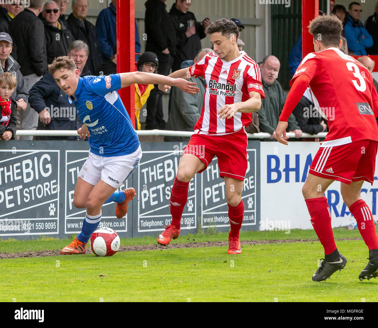 Stourbridge, UK. 28. April 2018. Warrington Town FC spielte am Stourbridge FC in der Tabelle oben Play-off-Kampf in der Evo-Stik Premier Division am Samstag, 28. April 2018. Die gelben, blauen, benötigt nur einen Punkt 2. in der Liga zu beenden, verlor aber 2 - 1 auf die Home Seite. Quelle: John Hopkins/Alamy leben Nachrichten Stockfoto