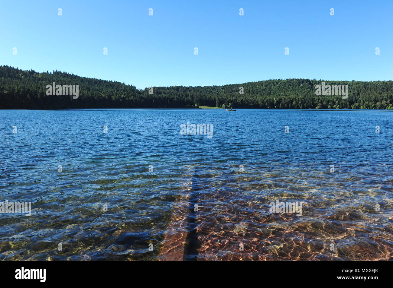 Blick auf den See Bouchet, Haute-Loire, Frankreich Stockfoto