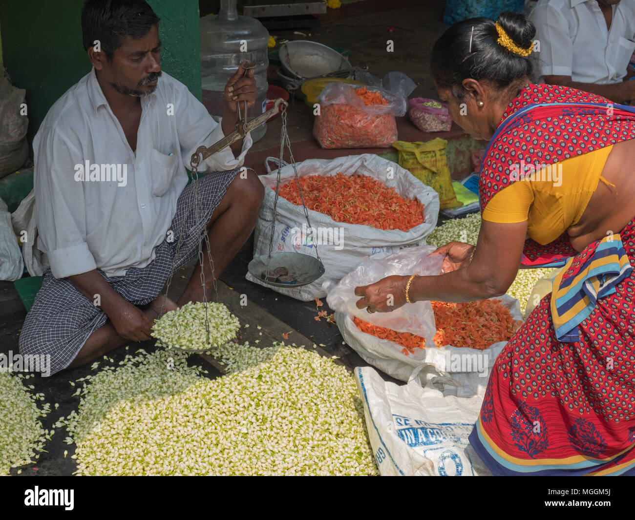 Madurai, Indien - 11. März 2018: Jasmin von einem Händler für einen Kunden in einem Markt am Rande der Stadt belastet zu werden Stockfoto
