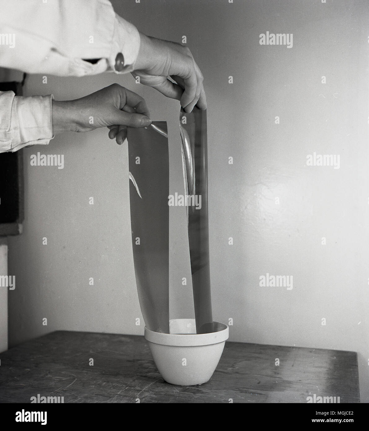 1950er Jahre, historische Bild zeigt negative Film Roll vor entwickelt werden. Hier der Film ist in Wasser eingeweichte Gelatine Schicht zu schwellen, die Erleichterung der Tätigkeit der anschließende chemische Behandlungen. Stockfoto 1950er Jahre, historische Bild zeigt negative Film Roll vor entwickelt werden. Hier der Film ist in Wasser eingeweichte Gelatine Schicht zu schwellen, die Erleichterung der Tätigkeit der anschließende chemische Behandlungen. Stockfoto