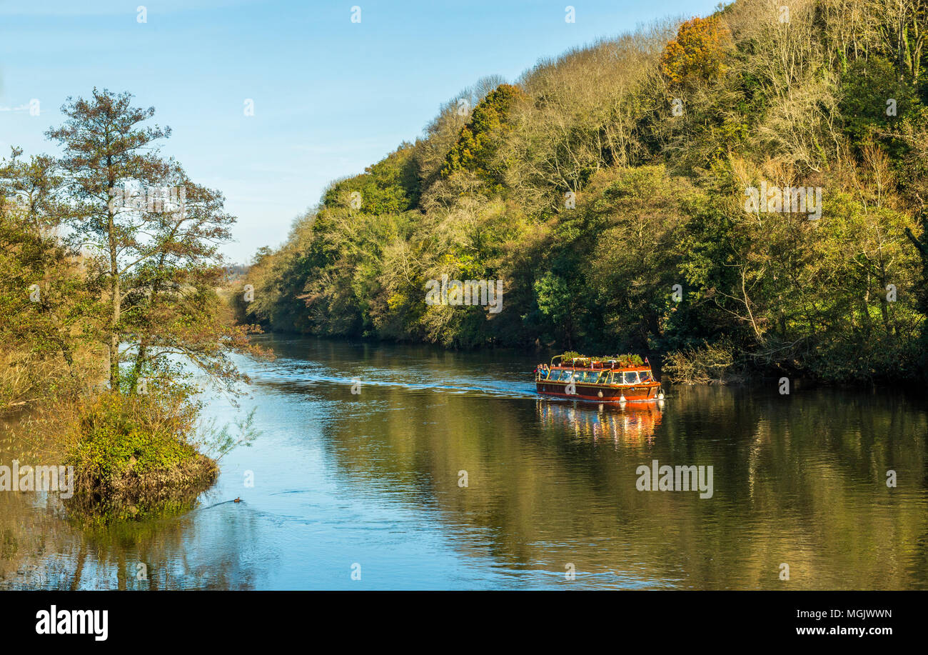 Das Wye Pride Passagierboot auf dem Fluss Wye in der Nähe von Symonds Yat Herefordshire. Stockfoto