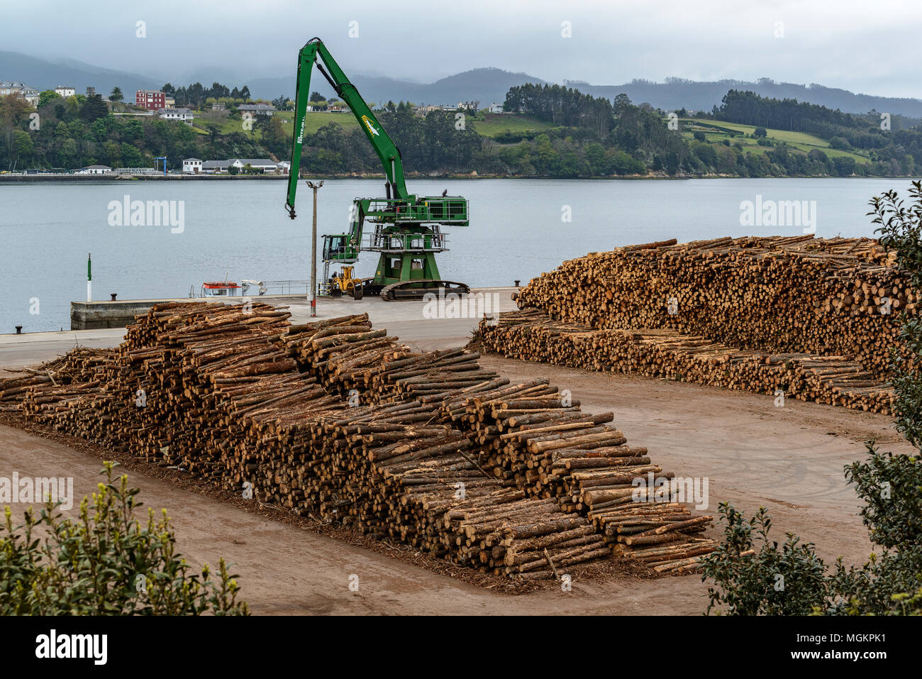 Südlich des Blauen Gummi Holz, aus Tasmanien, zu Papier Herstellung im Hafen von A Coruña, Lugo, Galizien, Spanien, Costa Cantabrica de Eukalyptus g bestimmt Stockfoto