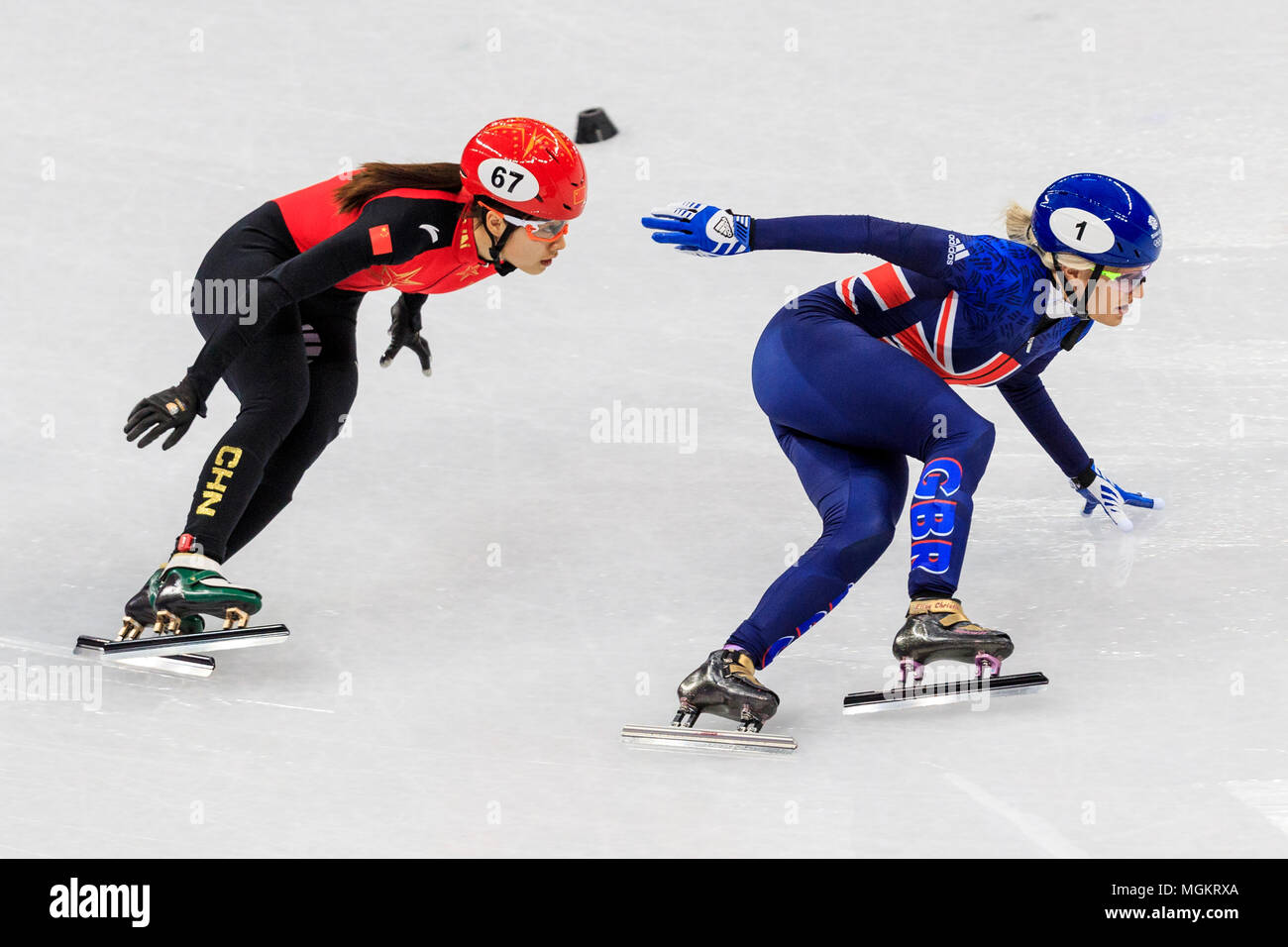 Elise Christie (GBR) #1, Qu Chunyu (CHN) #67 konkurrieren in der Frauen 500 m Short Track Speed Skating Heizen 4 bei den Olympischen Winterspielen PyeongChang 2 Stockfoto