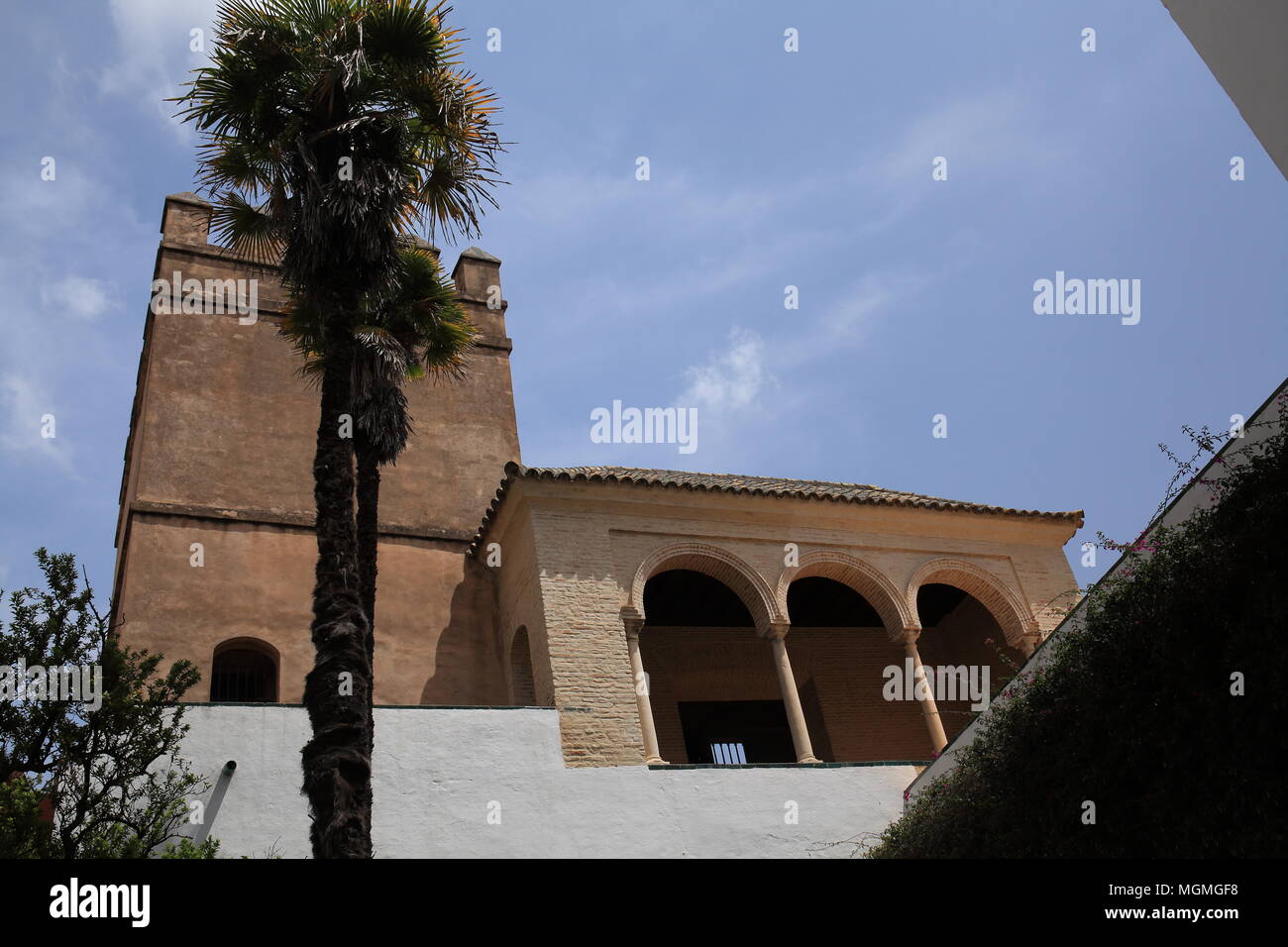 Royal Alcazar Palast Gärten, Sevilla, Andalusien, Europa Stockfoto