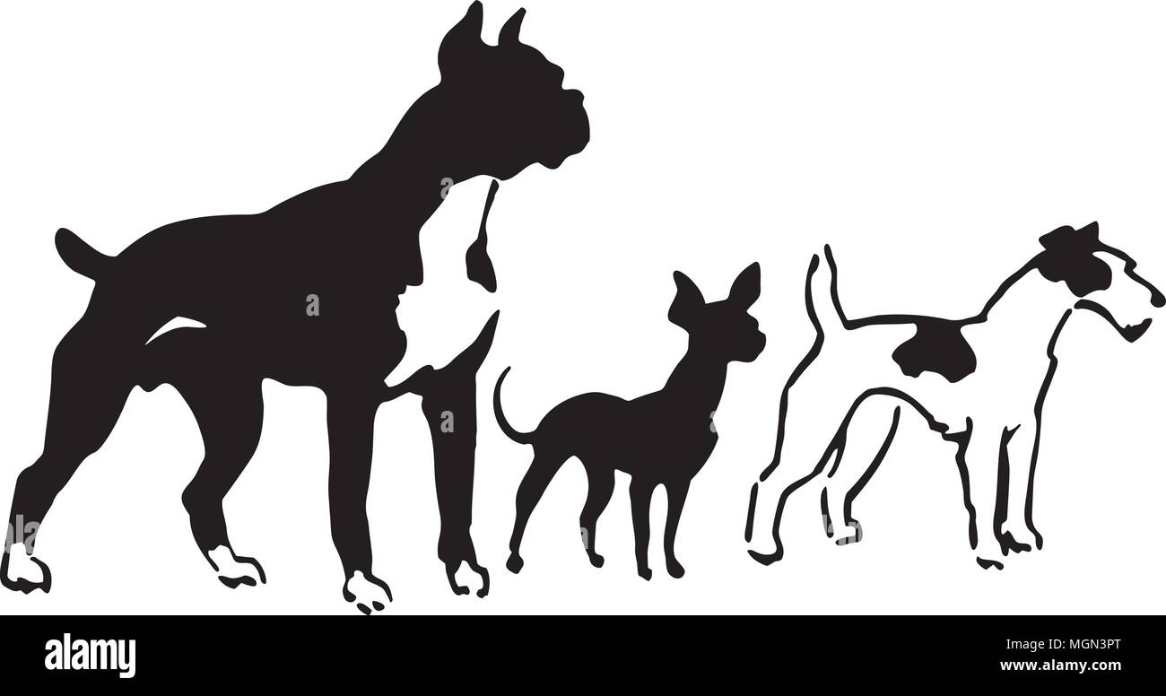 Drei Rassen von Hunden - Retro Clipart Illustration Stock Vektor