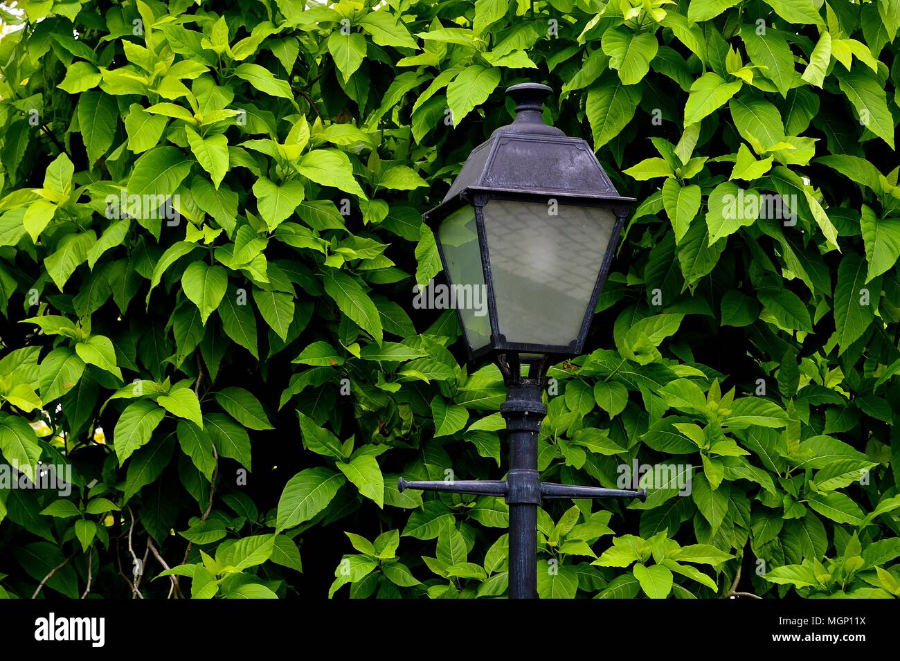 Antike oder Vintage street lamp mit einem Hintergrund von Blättern in einem Park in Singapur Stockfoto