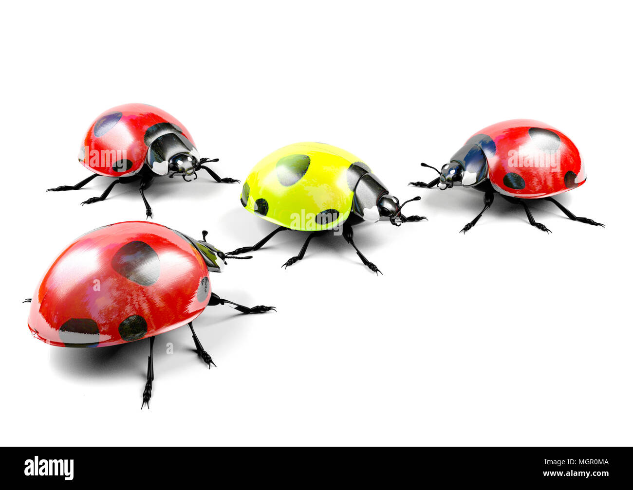 Gelber Marienkäfer umgeben von Gruppe von roten Marienkäfer, Bild, stellvertretend für inakzeptabel, anders, Underdog, Mutant Konzept Stockfoto