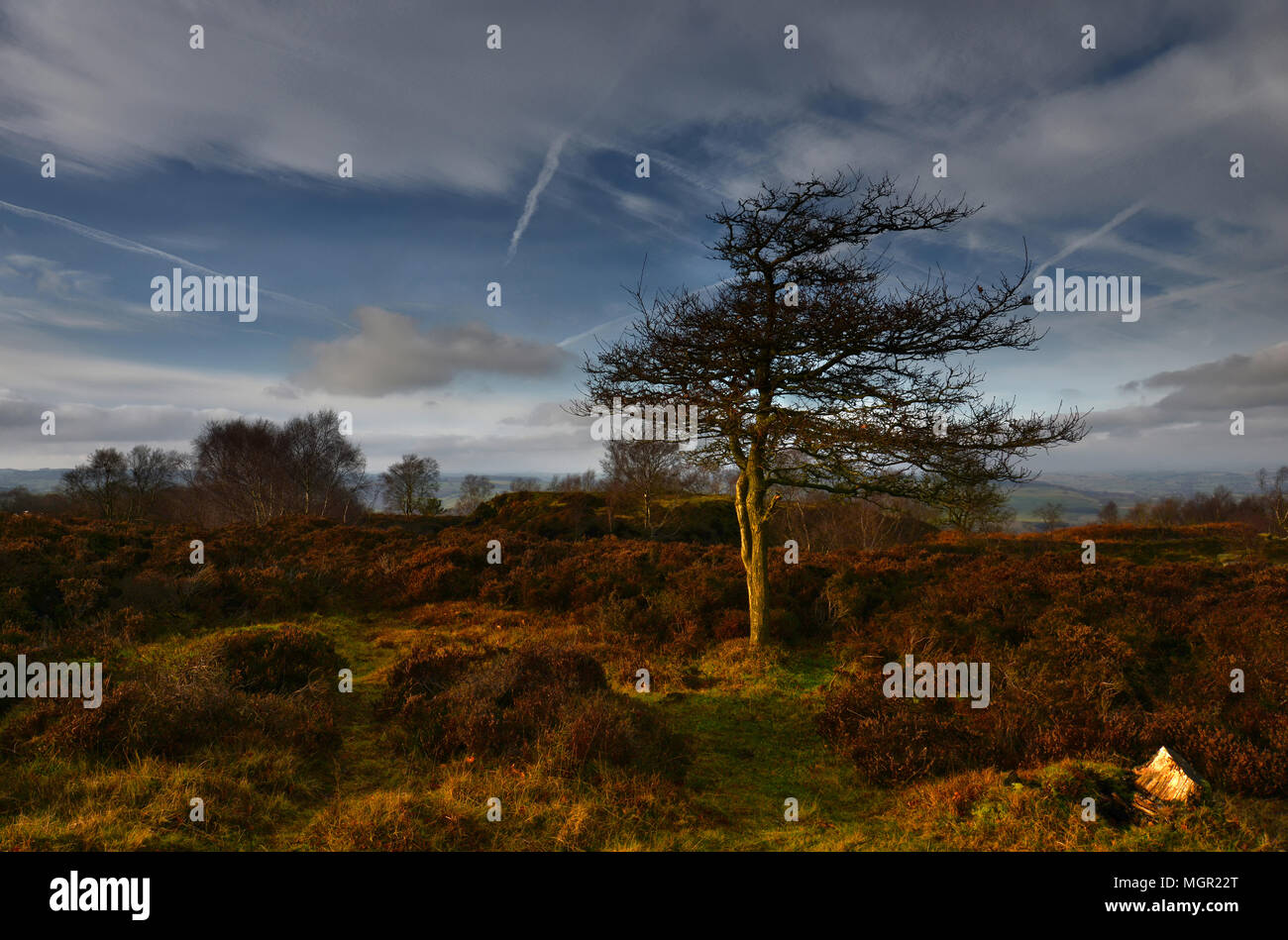 Stanton Moor bei Sonnenuntergang Stockfoto