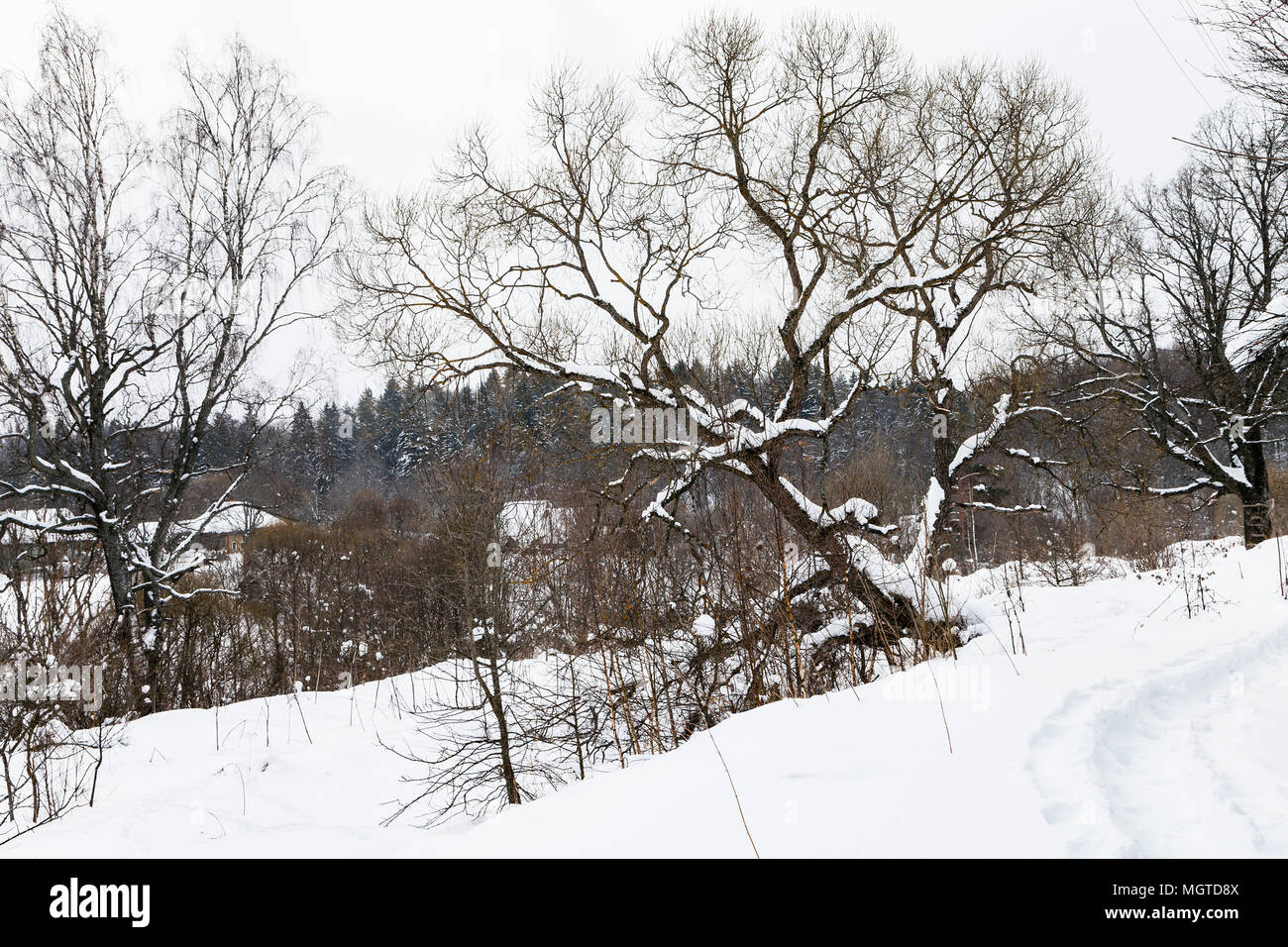 Fußweg und auf die Altstadt von kleinen russischen Dorf im Winter Tag in Smolensk Region Russlands Stockfoto