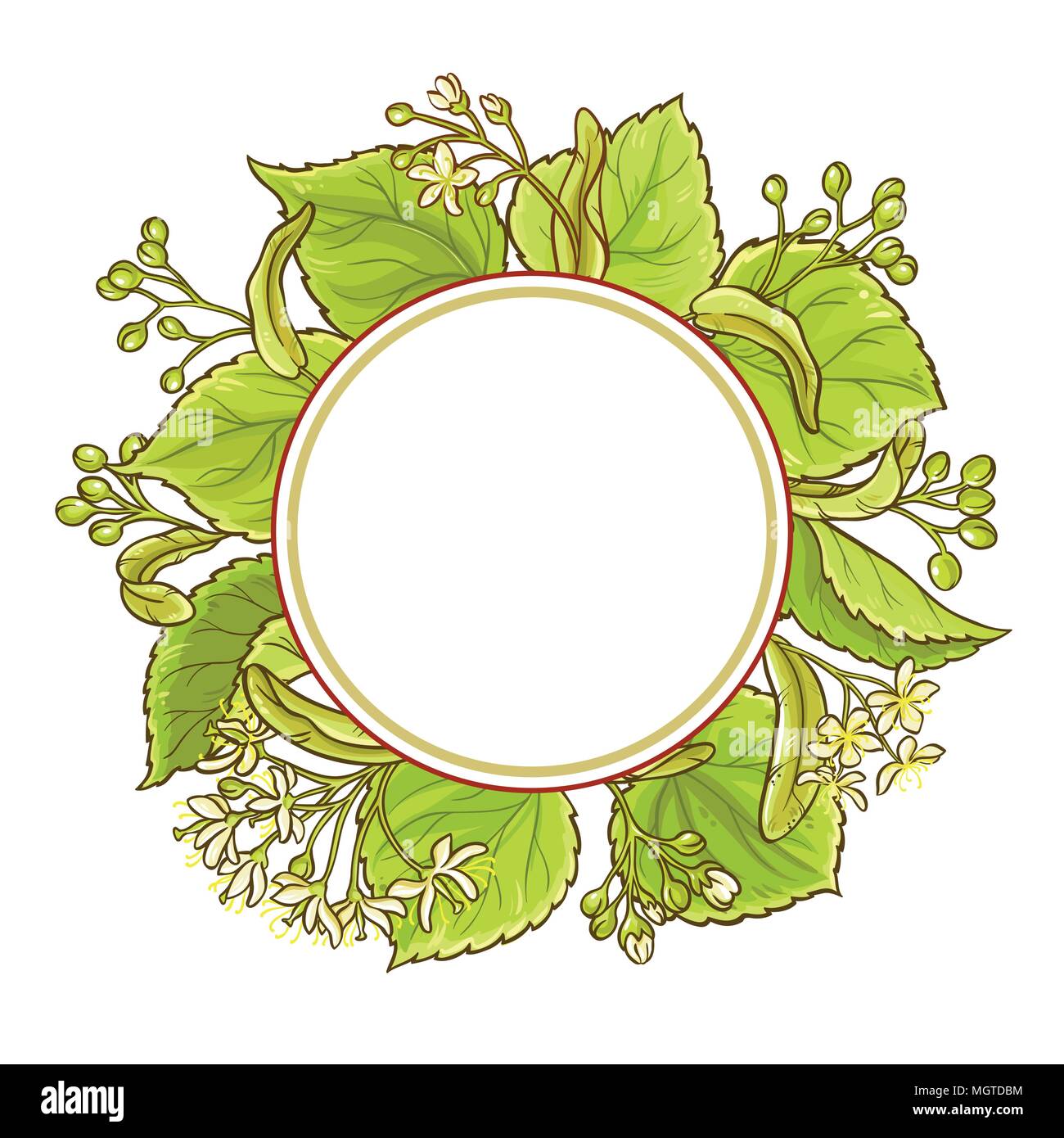 Linden Zweige vektor Rahmen auf weißem Hintergrund Stock Vektor