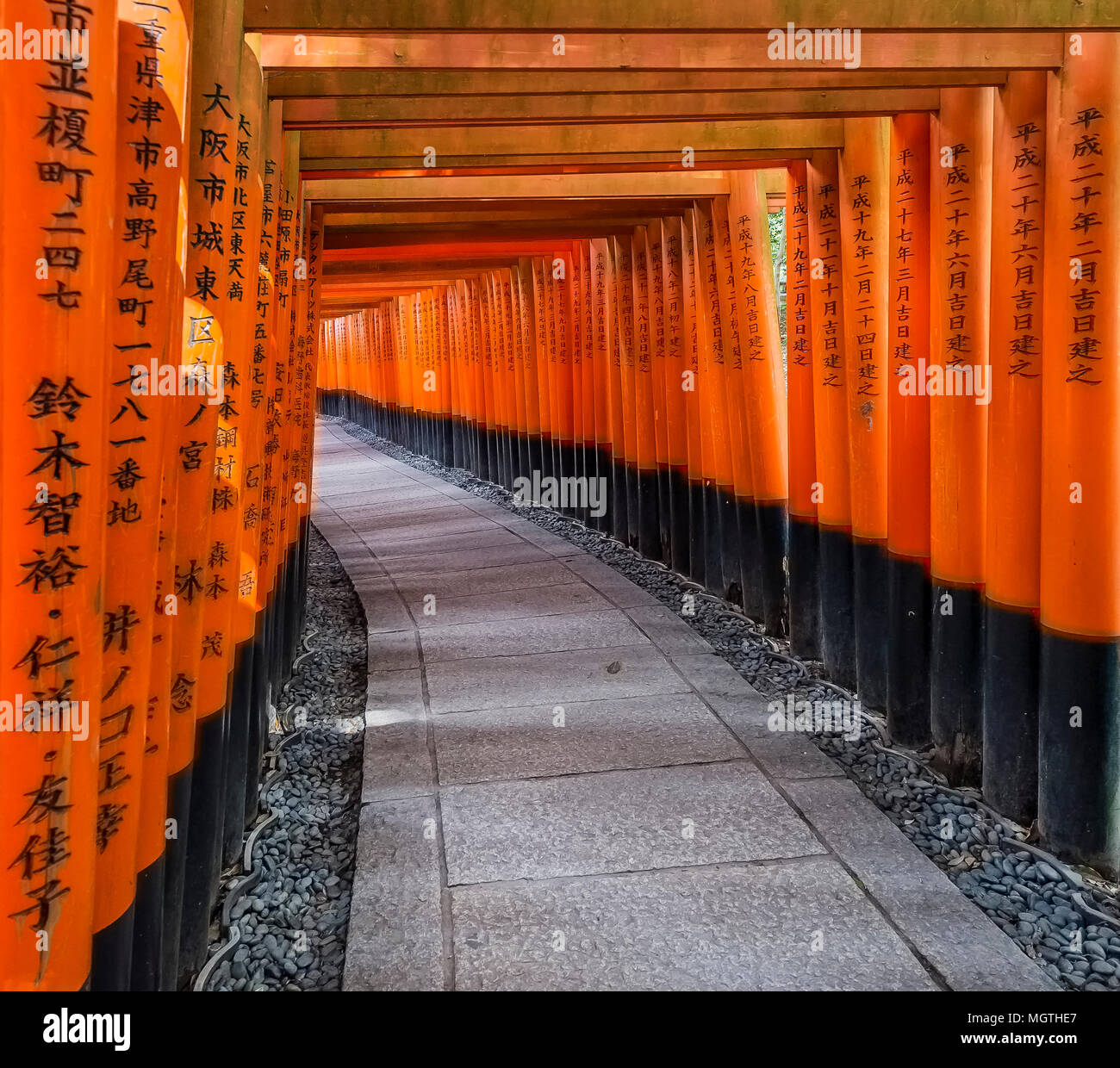 Schöne Tunnel von torii Türen im Fushimi Inari Schrein von Kyoto, Japan Stockfoto