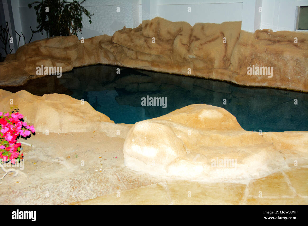 Sharm-el-Sheikh, Ägypten - März 14., 2018. Schöner Pool mit klarem blauen Wasser und der Reflexion von Objekten in der Nacht. Kyrene Grand Hotel. Stockfoto