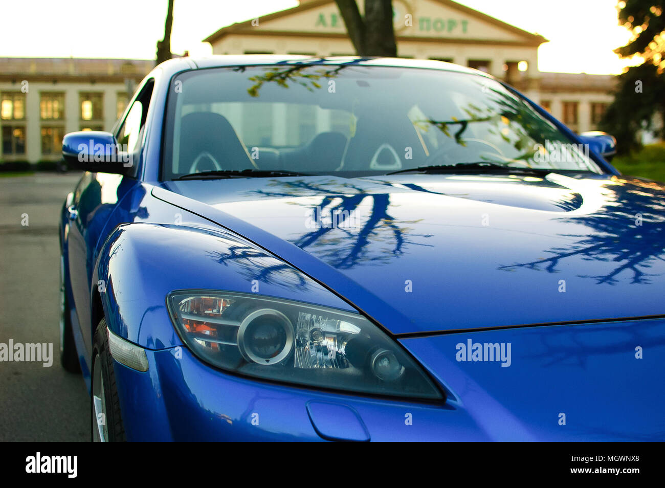 AUTO-PALPAL Obere Stangenverbindung L/R - Ersatzteil 958423811A