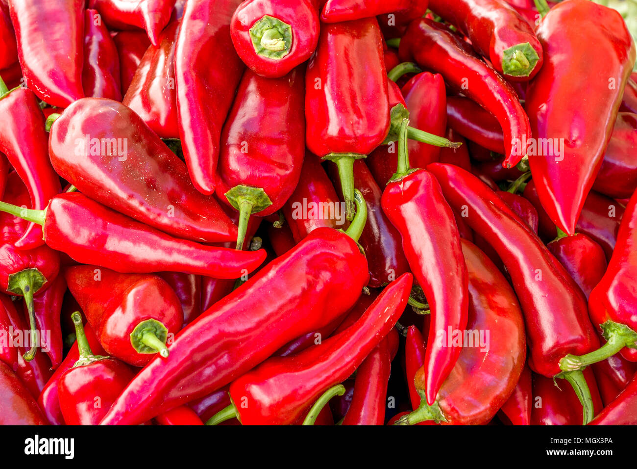 ein Haufen von langen roten Chilischoten auf dem Markt Gemüse Stockfoto