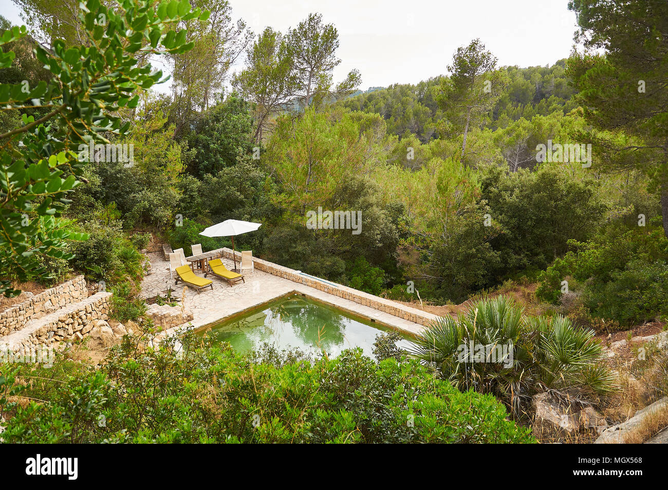 Naturwasser Freibad in einem Pinienwald auf einem Grundstück in Serra de Tramuntana (Andratx, Mallorca, Balearen, Spanien) Stockfoto