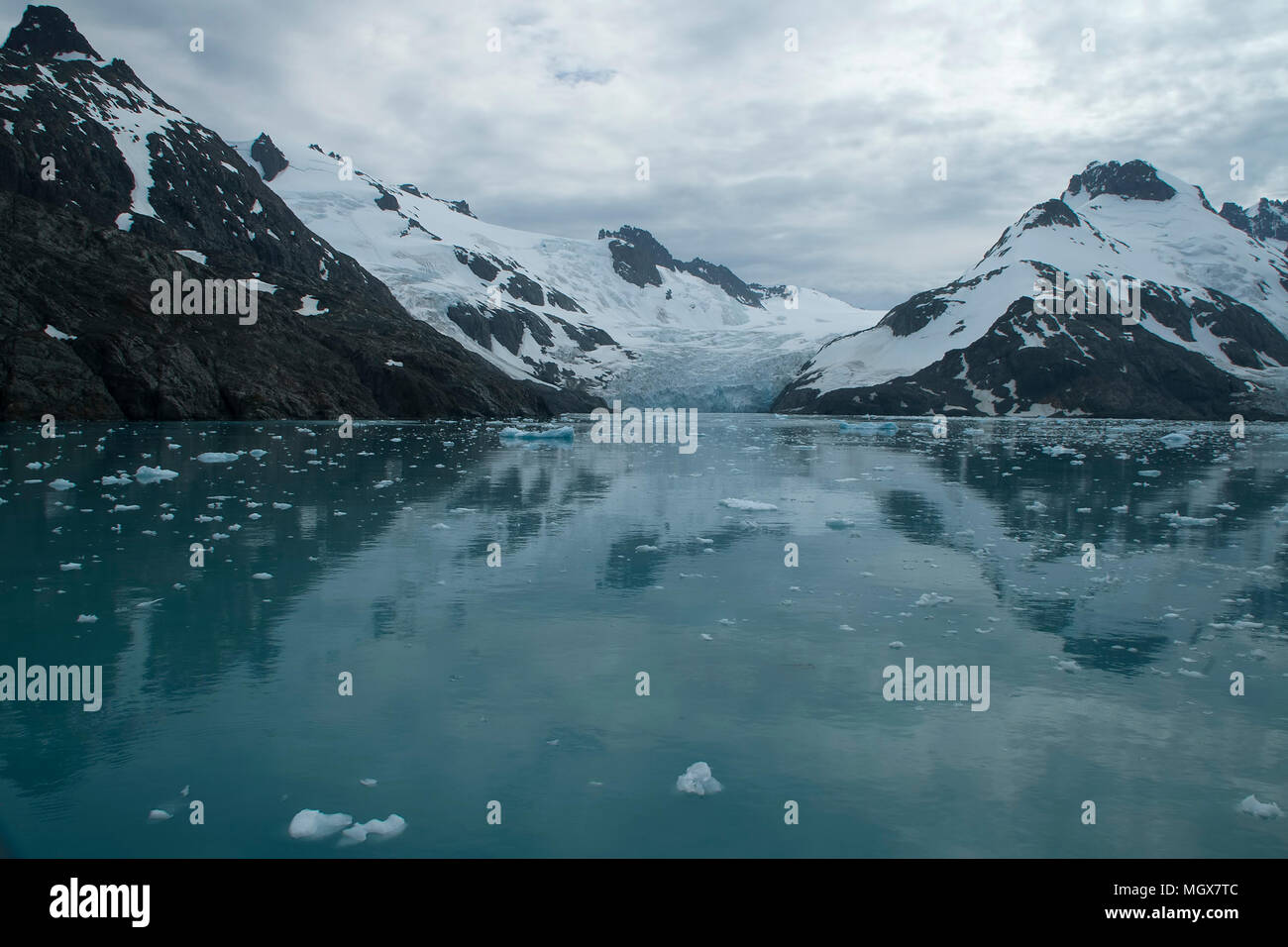 Drygalski Fjord South Georgia Inseln, Küsten- Landschaft mit Reflexionen Stockfoto