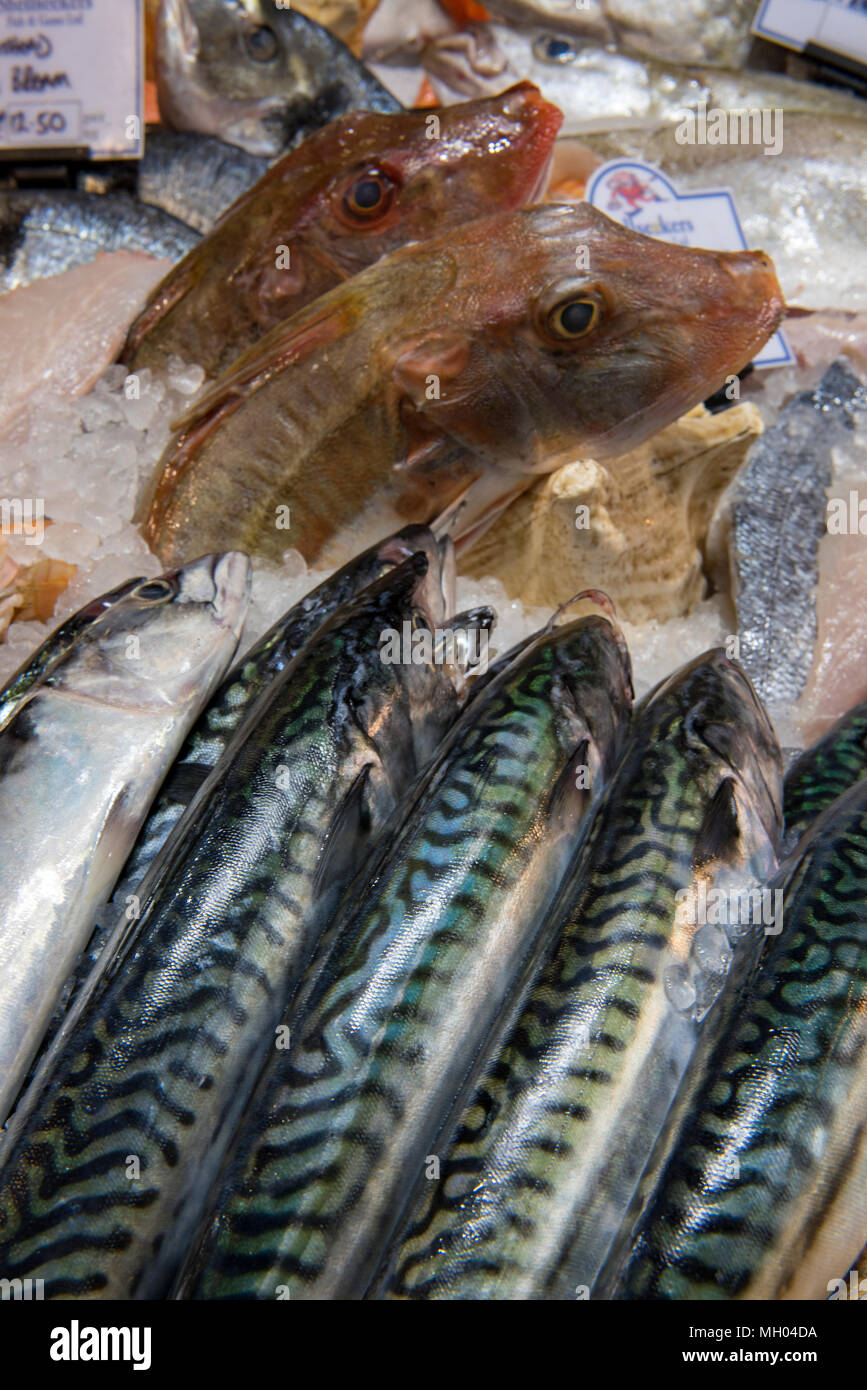 Frische Makrelen und knurrhahn Fang des Tages Fisch zum Verkauf zu einem fishmoners auf Borough Market in Central London. Frischer Fisch nass Stall verkaufen. Stockfoto