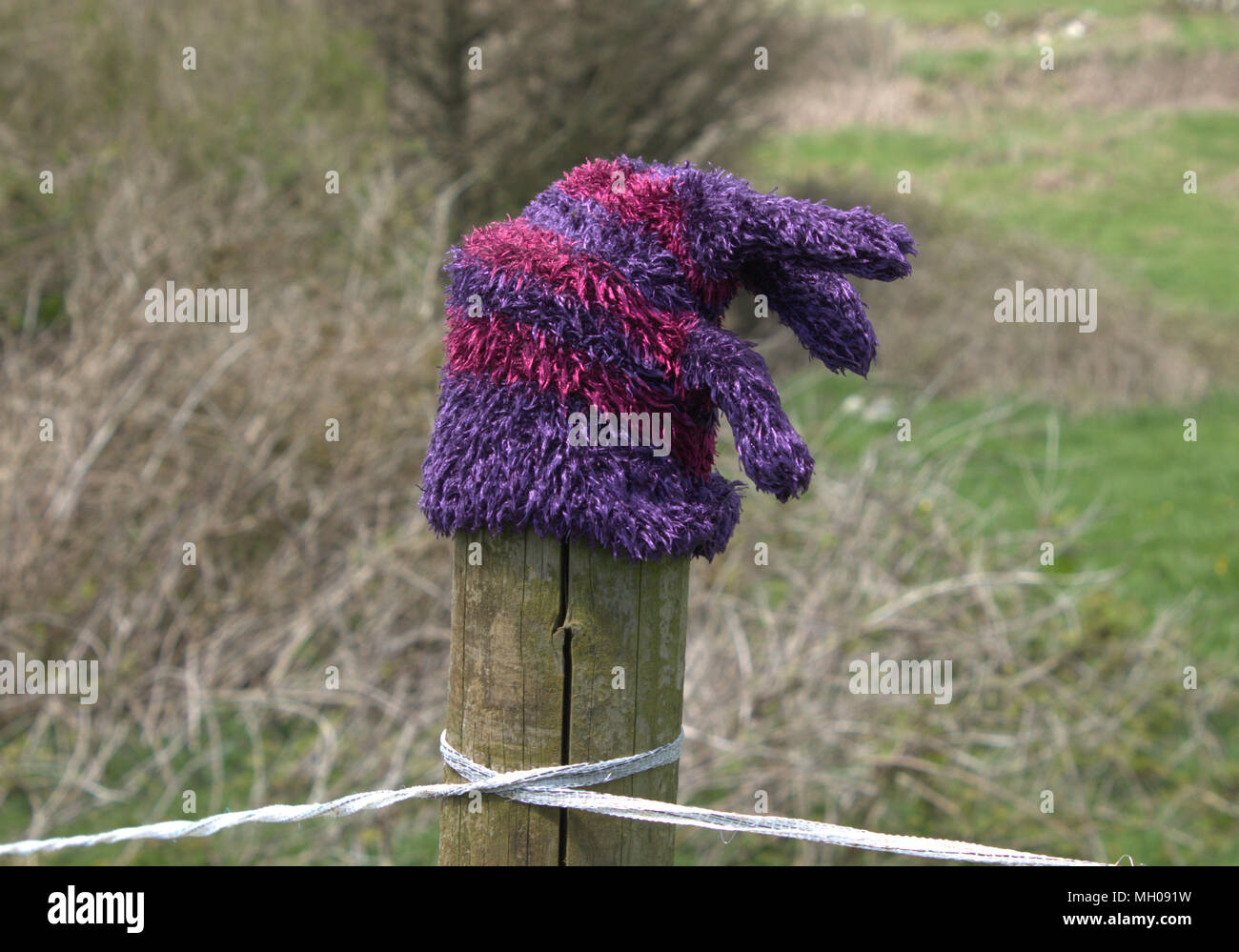 Verloren lila und rosa gestreifte Kammgarn Handschuh zog über den Bauernhof Zaunpfahl. Stockfoto