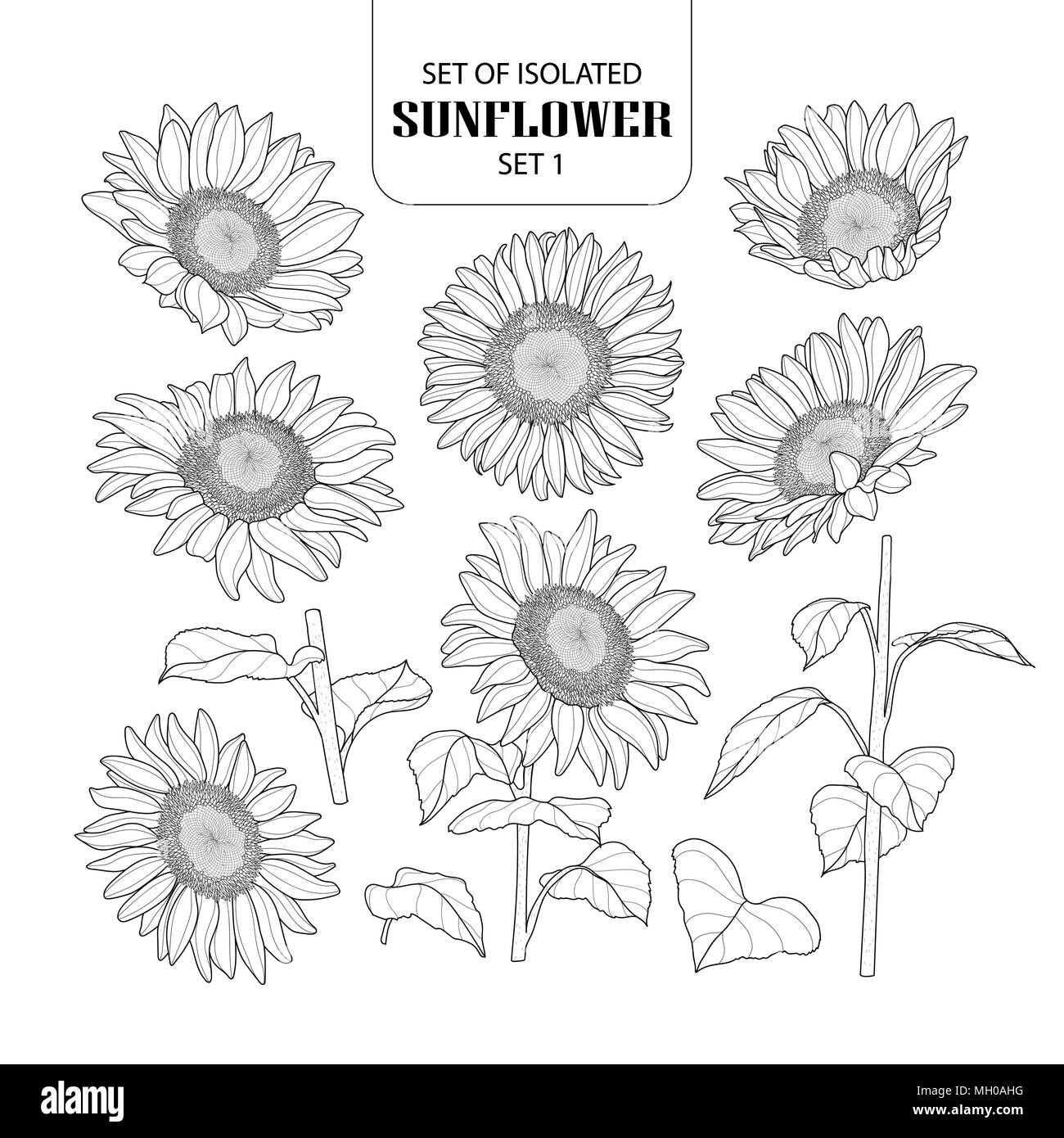 Eingestellt von isolierten Sunflower 1 1. Süße Hand gezeichnet Vector Illustration in schwarzer Umriss und weißen Ebene auf weißem Hintergrund. Stock Vektor