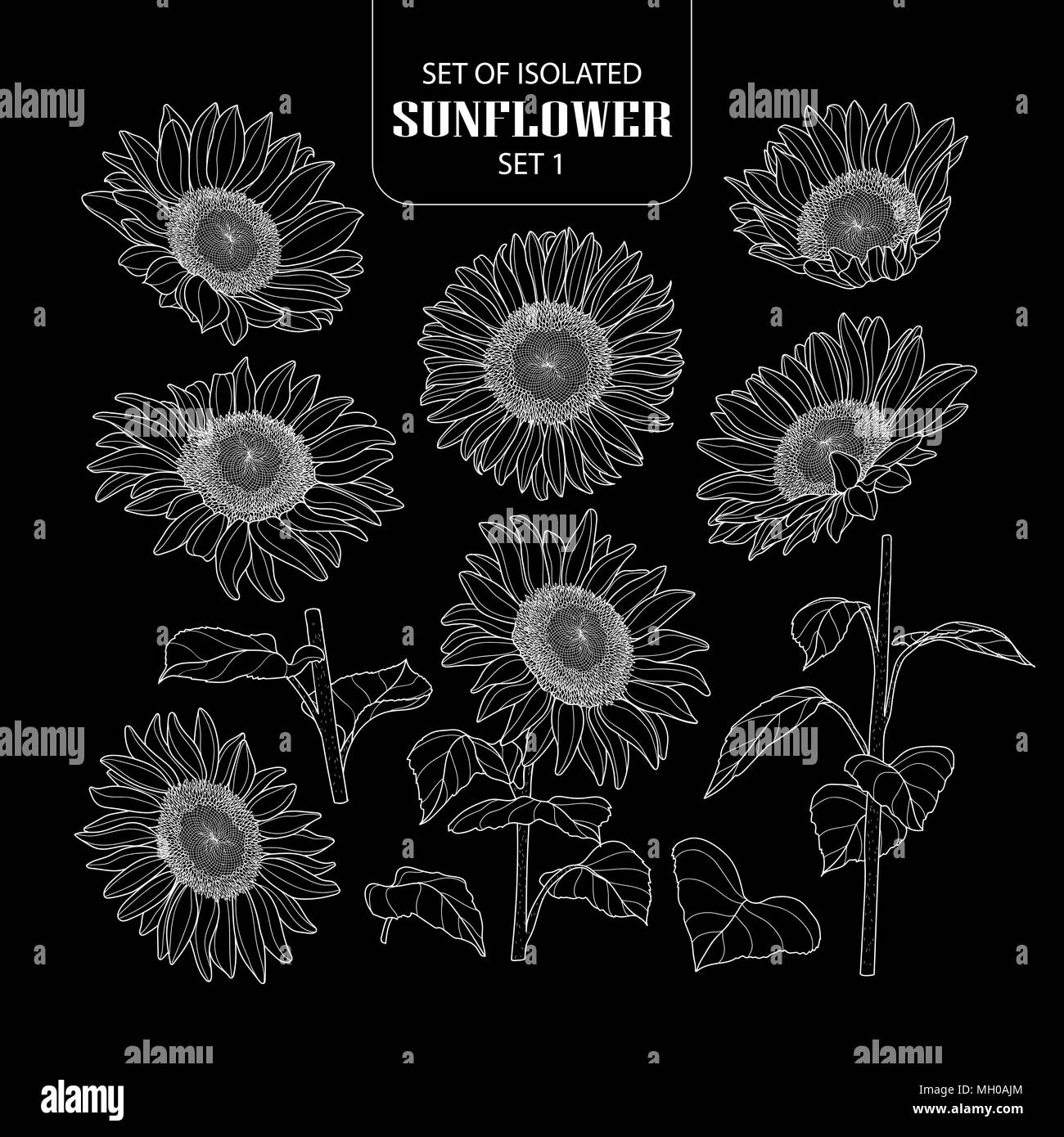 Eingestellt von isolierten Sunflower 1 1. Süße Hand gezeichnet Vector Illustration nur weißer Umriss auf schwarzem Hintergrund. Stock Vektor