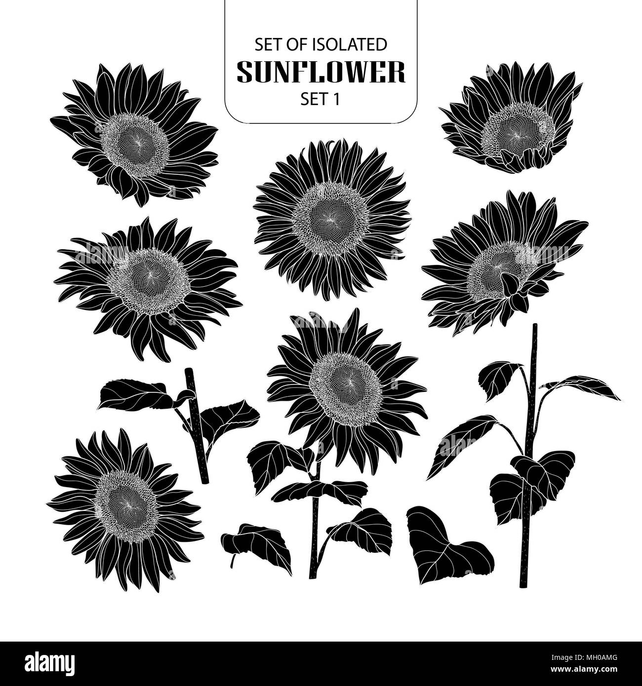 Eingestellt von isolierten silhouette Sunflower 1 1. Süße Hand gezeichnet Vector Illustration in weißer Umriss und schwarzen Flugzeug auf weißem Hintergrund. Stock Vektor