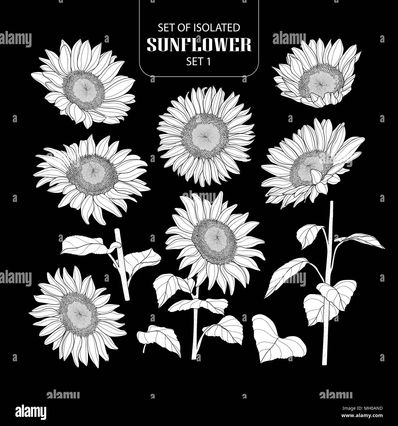 Eingestellt von isolierten weißen silhouette Sunflower 1 1. Süße Hand gezeichnet Vector Illustration in weißen Fläche ohne Umriss auf schwarzem Hintergrund. Stock Vektor