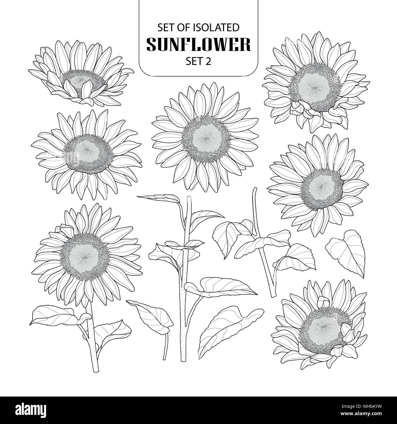 Eingestellt von isolierten Sonnenblumen Set 2. Süße Hand gezeichnet Vector Illustration in schwarzer Umriss und weißen Ebene auf weißem Hintergrund. Stock Vektor
