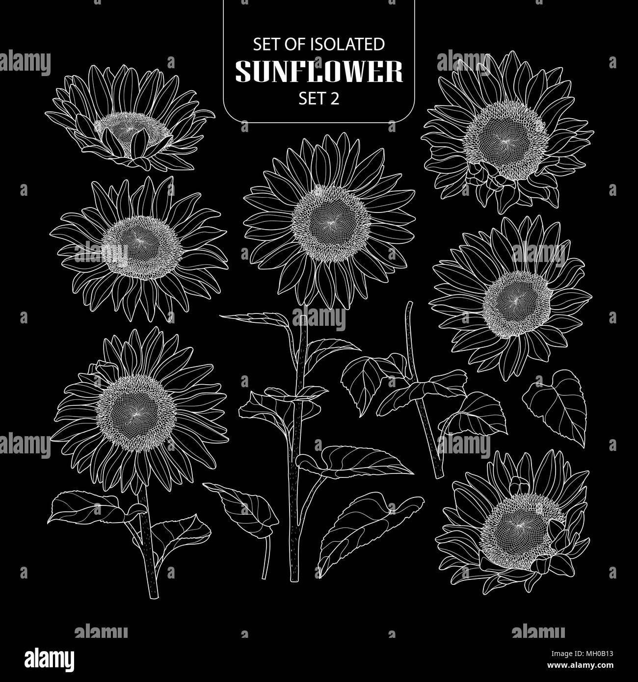 Eingestellt von isolierten Sonnenblumen Set 2. Süße Hand gezeichnet Vector Illustration nur weißer Umriss auf schwarzem Hintergrund. Stock Vektor