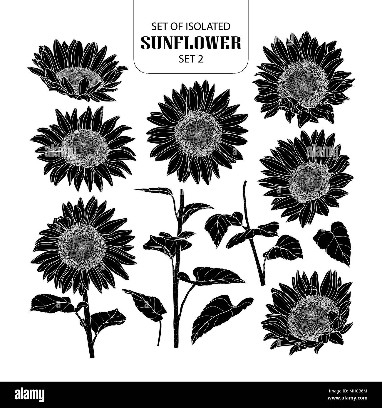 Eingestellt von isolierten silhouette Sonnenblumen Set 2. Süße Hand gezeichnet Vector Illustration in weißer Umriss und schwarzen Flugzeug auf weißem Hintergrund. Stock Vektor