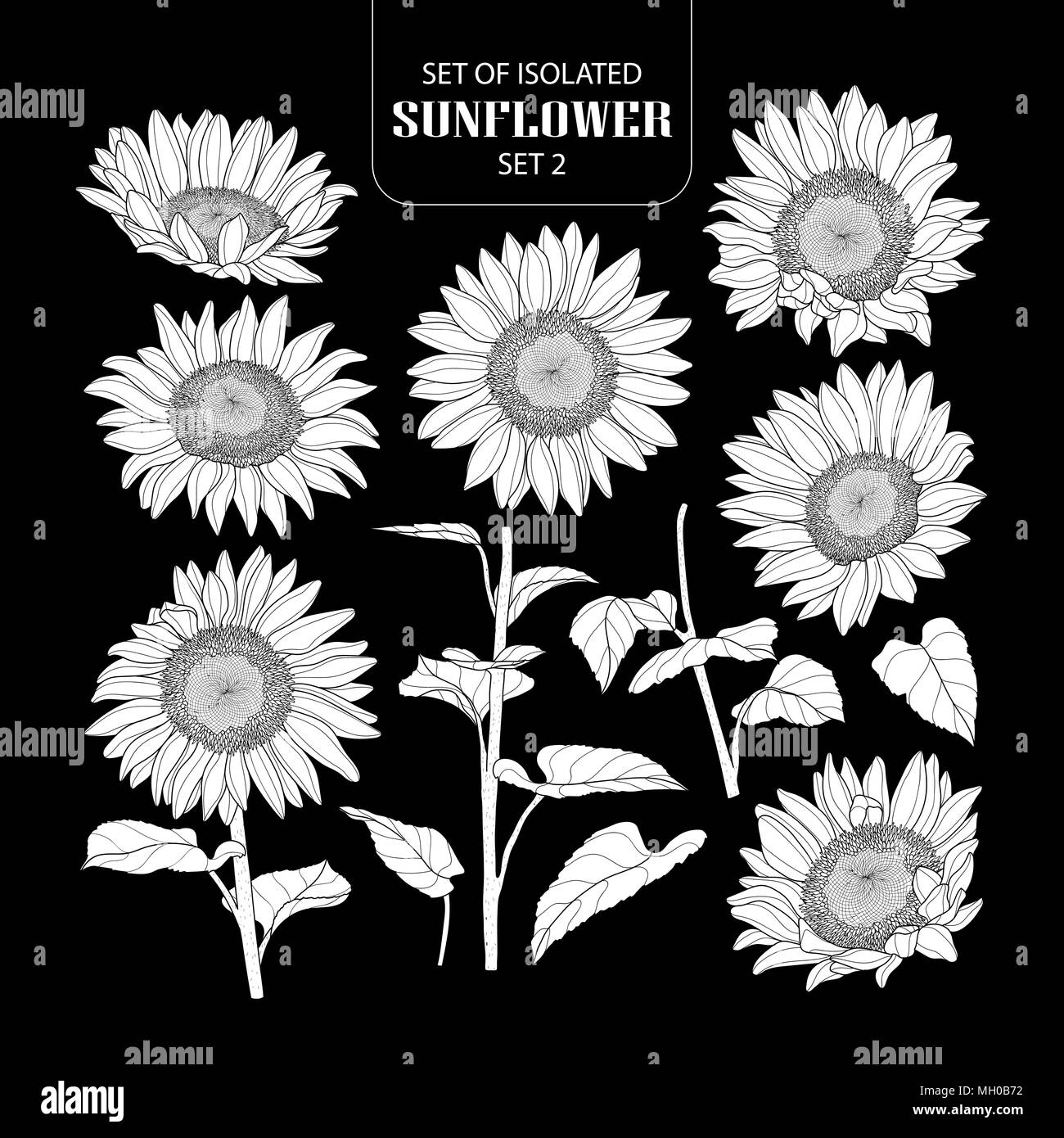 Eingestellt von isolierten weißen silhouette Sonnenblumen Set 2. Süße Hand gezeichnet Vector Illustration in weißen Fläche ohne Umriss auf schwarzem Hintergrund. Stock Vektor