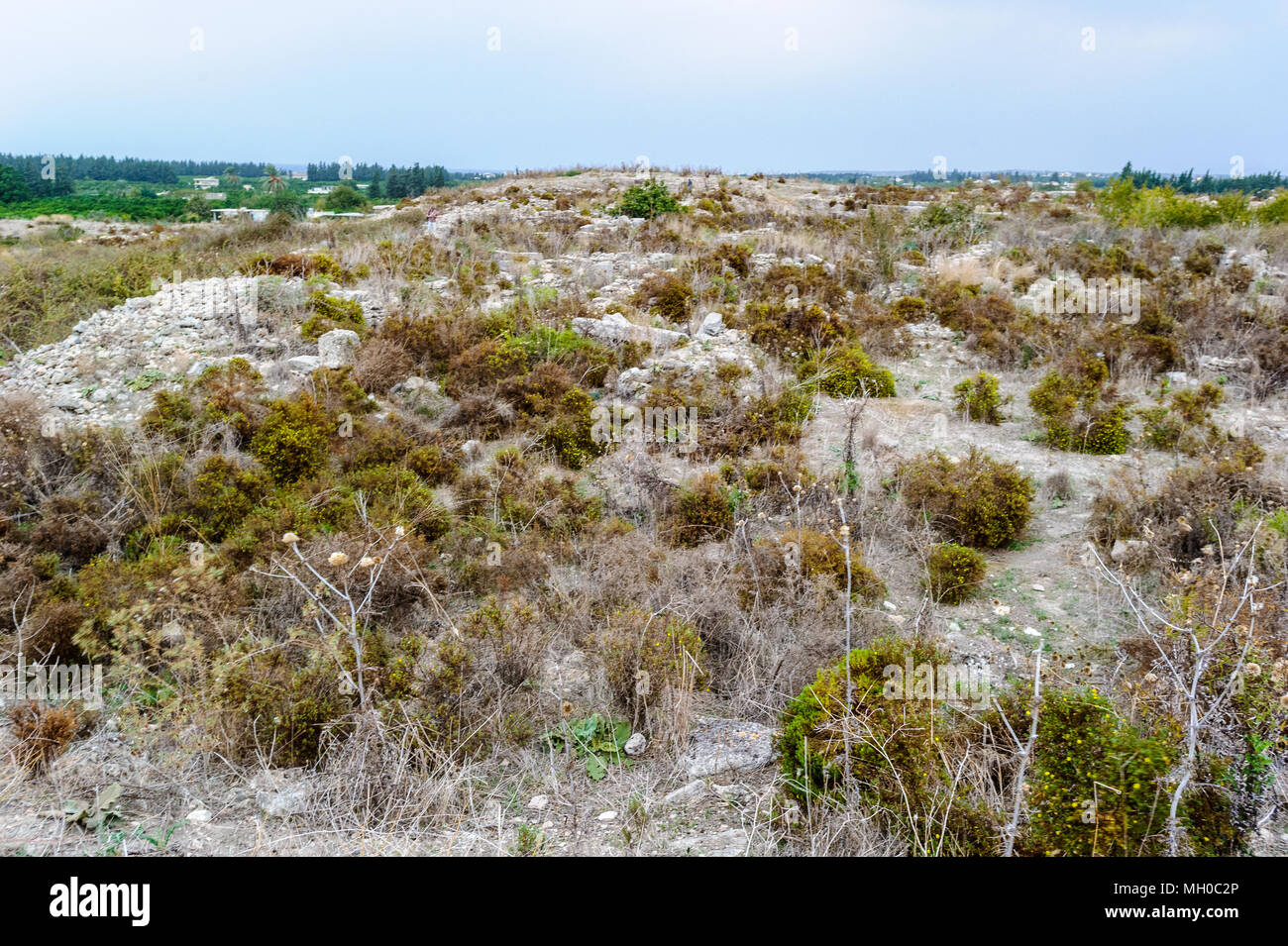 Ugarit, Syrien. Stockfoto