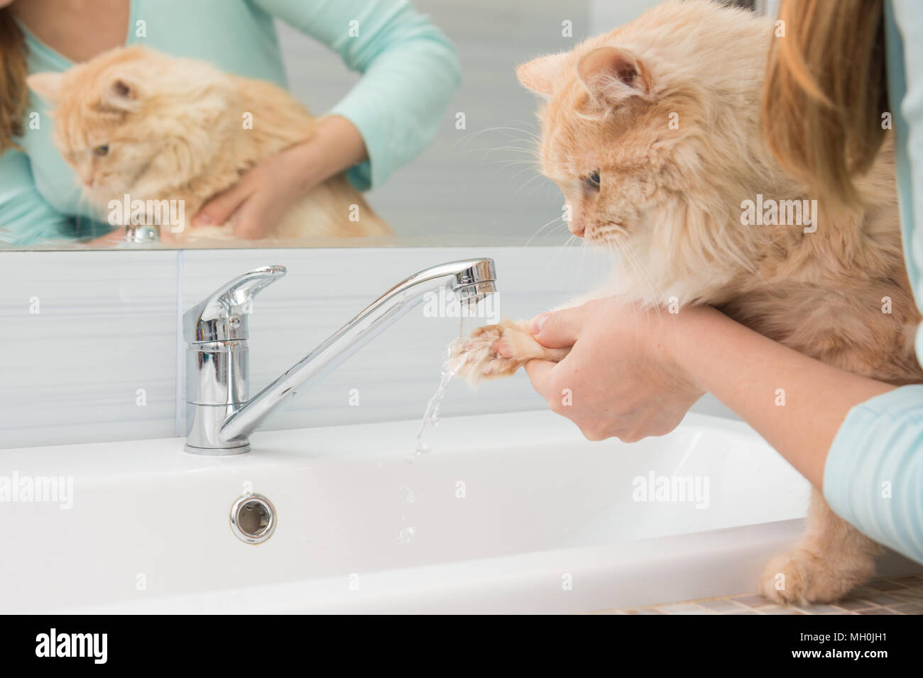 Ein Mädchen wäscht Pfote einer Katze unter einem Strom von Wasser von einem Waschbecken Armatur im Bad Stockfoto