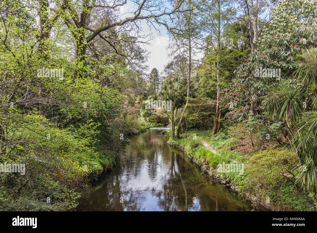 Mount Usher Gardens in Ashford Wicklow Stockfoto