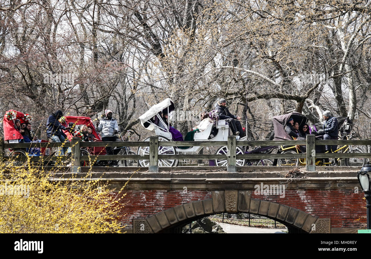 Pferde und Karren in Central Park, New York City in den Vereinigten Staaten. Aus einer Reihe von Fotos in den Vereinigten Staaten. Foto Datum: Sonntag, 8. April Stockfoto