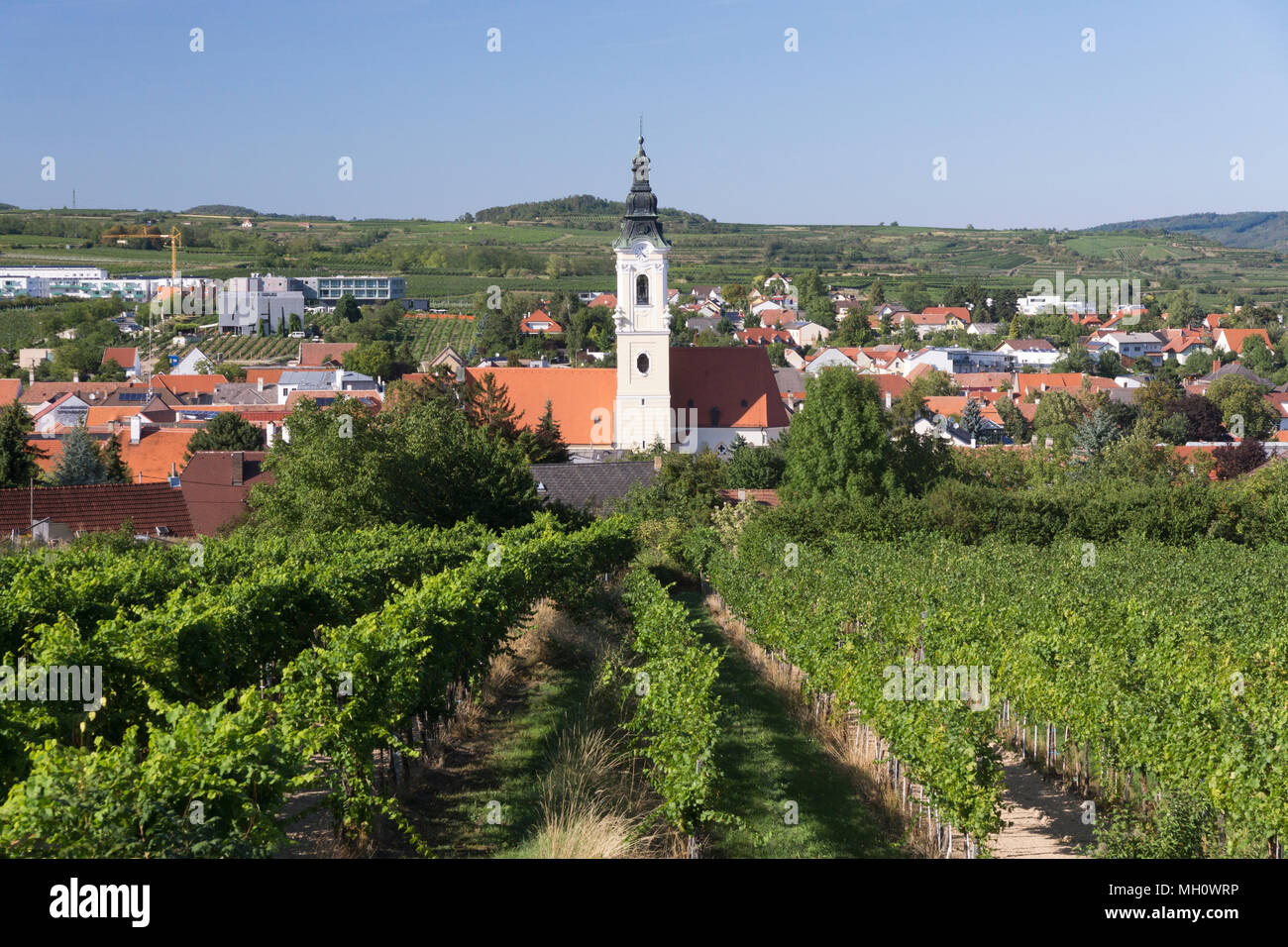 Die St. Laurentius Kirche und der Loisium Wine & Spa Resort in Langenlois, die "Wein"-Kapital und beliebtes Reiseziel Niederösterreich Stockfoto