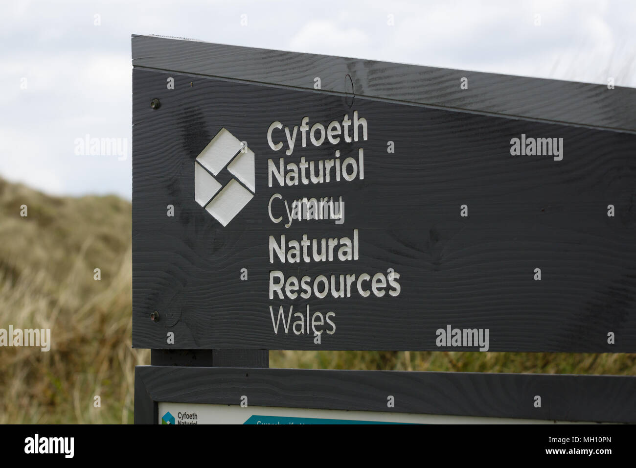 Natürliche Ressourcen Wales oder NRW Anmeldung Harlech Strand. Ein Waliser Agentur verantwortlich für die Umwelt und die natürlichen Ressourcen von Wales Stockfoto