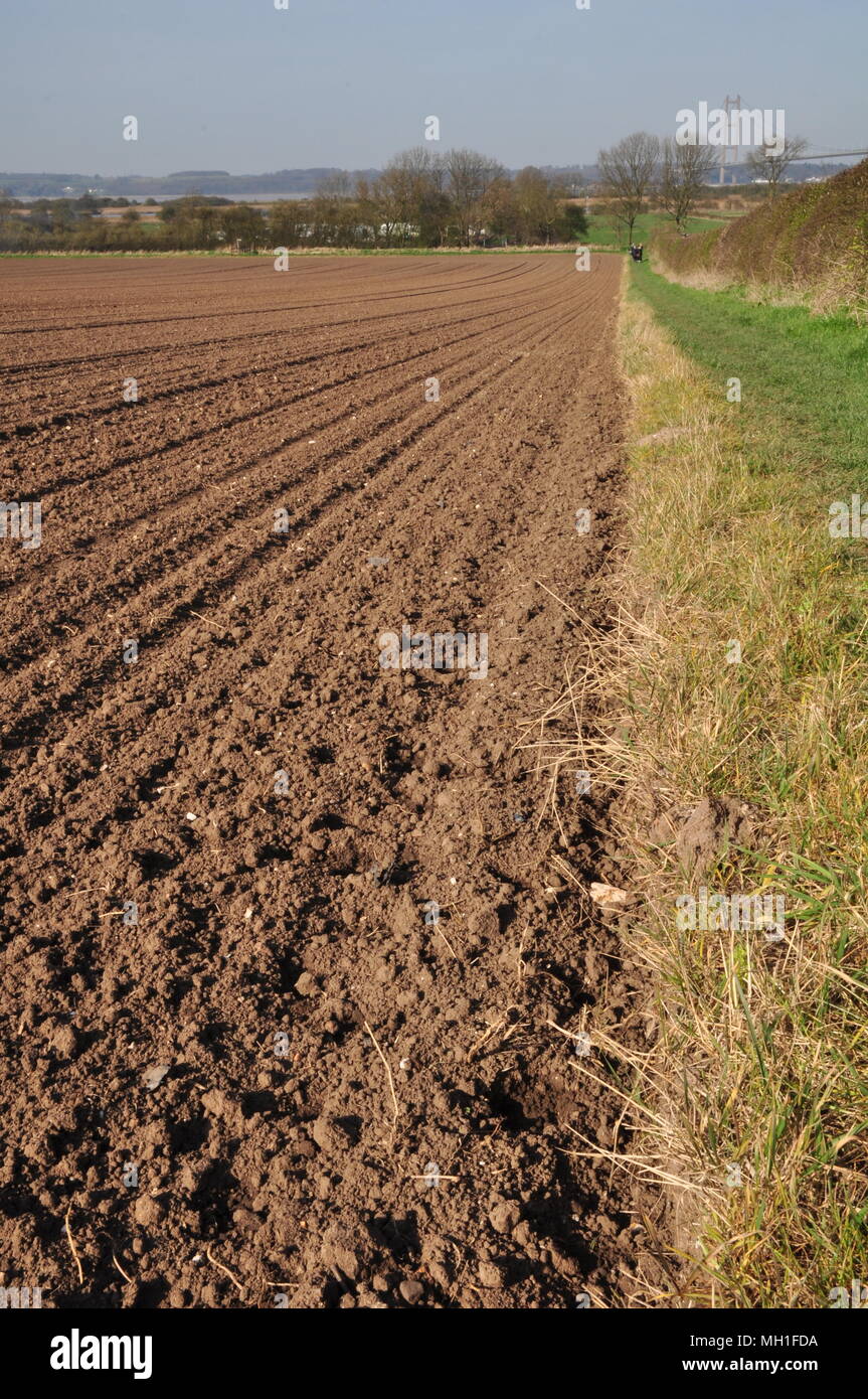 Gepflügte land mit Weg am Rand von Barton Lincolnshire Stockfoto