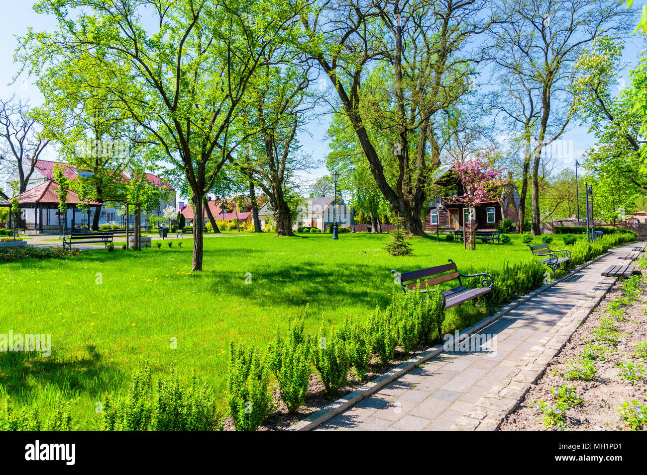 Gasse in Green Park im Frühling Saison, Alwernia, Polen Stockfoto