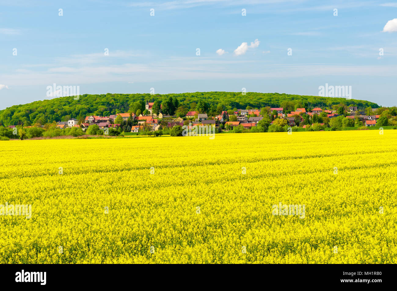 Landwirtschaft in polen -Fotos und -Bildmaterial in hoher Auflösung – Alamy
