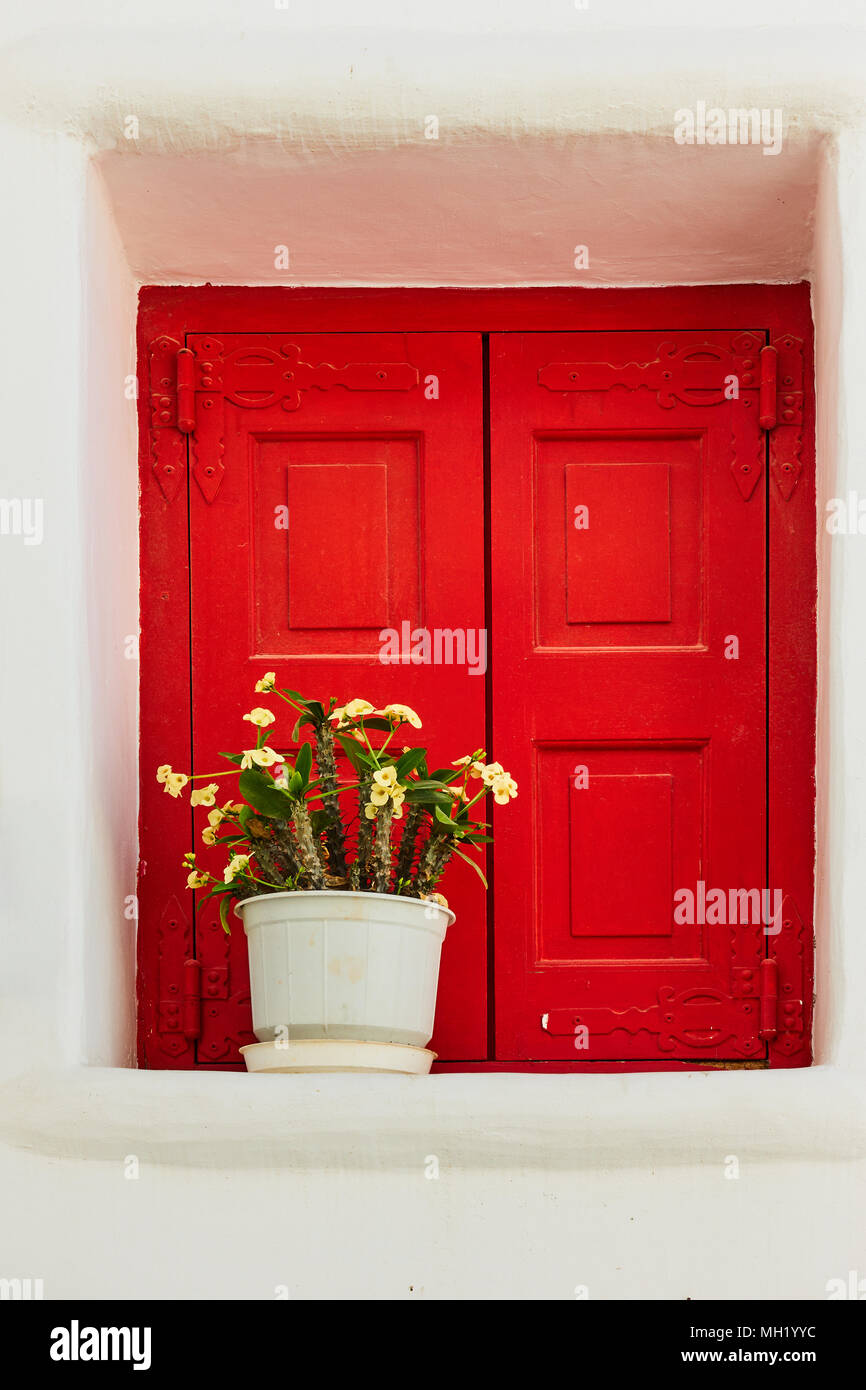 Blumentopf auf dem Fensterbrett in Griechenland Stockfoto