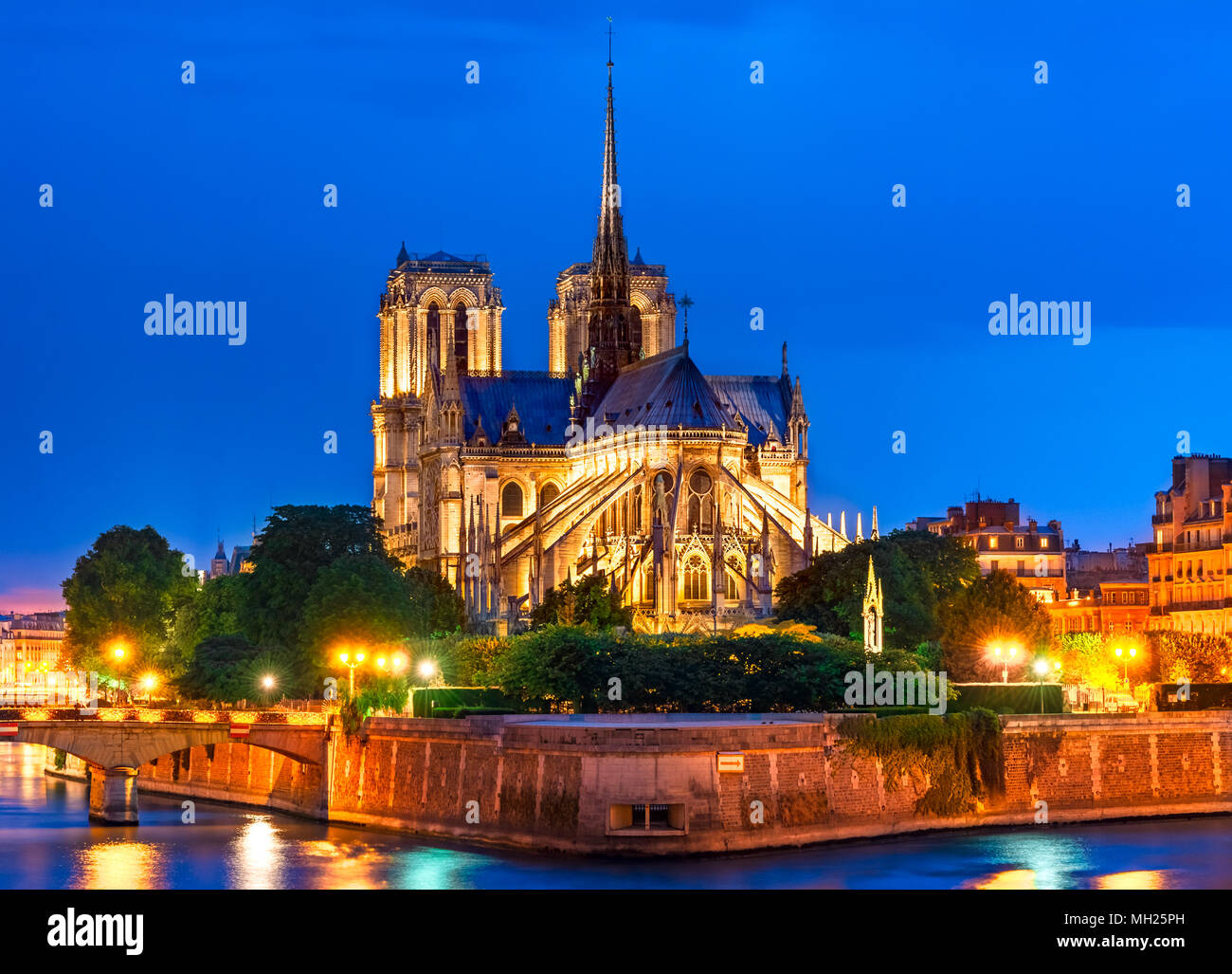 Ile de la Cite, Paris, Frankreich: Nachtansicht der Cathedrale Notre Dame de Paris oder Unsere Liebe Frau von Paris, eine schöne Kathedrale und ein wichtiges Beispiel für Fr Stockfoto