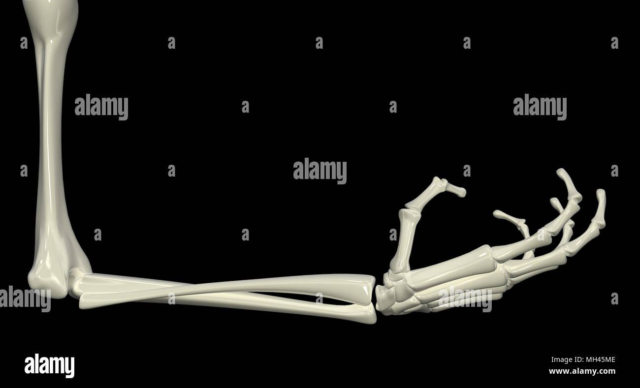 3d Skelett Arm Isoliert Dunklen Hintergrund Stockfotografie Alamy