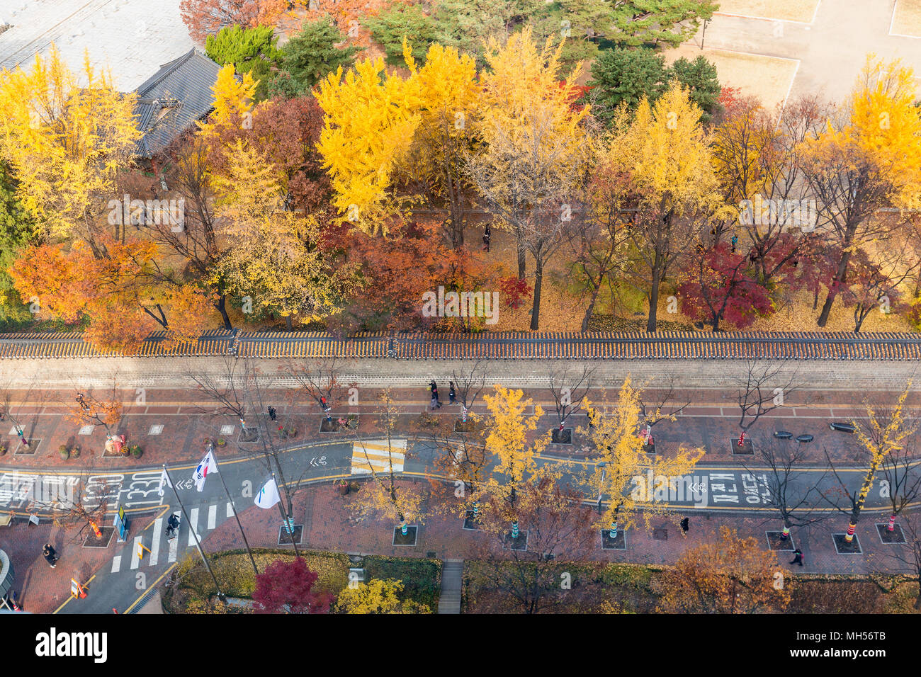 Ansicht der Stadt Seoul und im Herbst in Deoksugung Palast Stockfoto