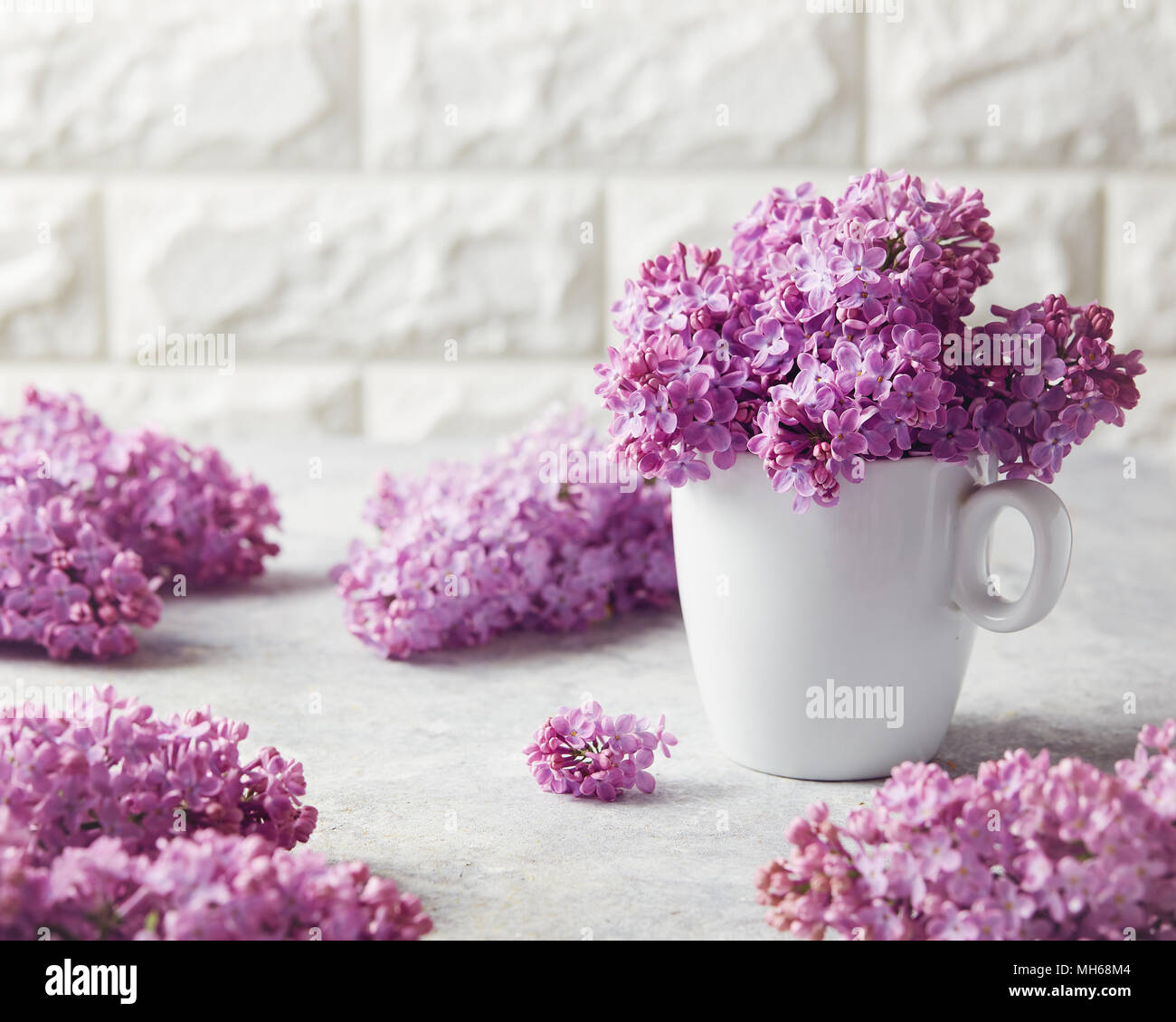 Ein Bündel von frischem Flieder zu Hause. Flieder (Syringa) Blumen in Weiß Becher auf den Tisch. Stockfoto