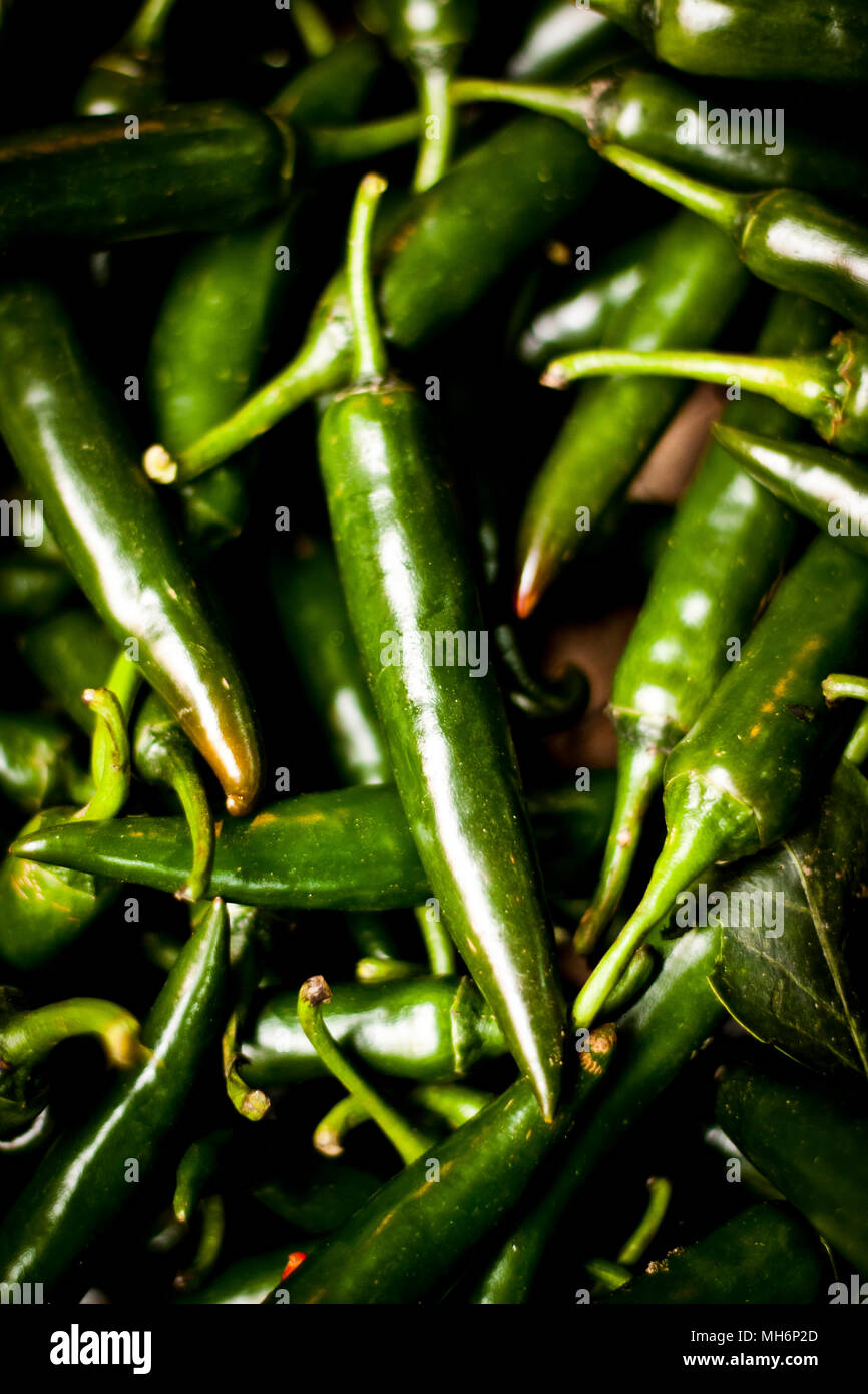 Ein Haufen von frischen grünen Chilis zum Verkauf auf einen Markt während der Nacht am langen Bien Markt in Hanoi, Vietnam. Stockfoto