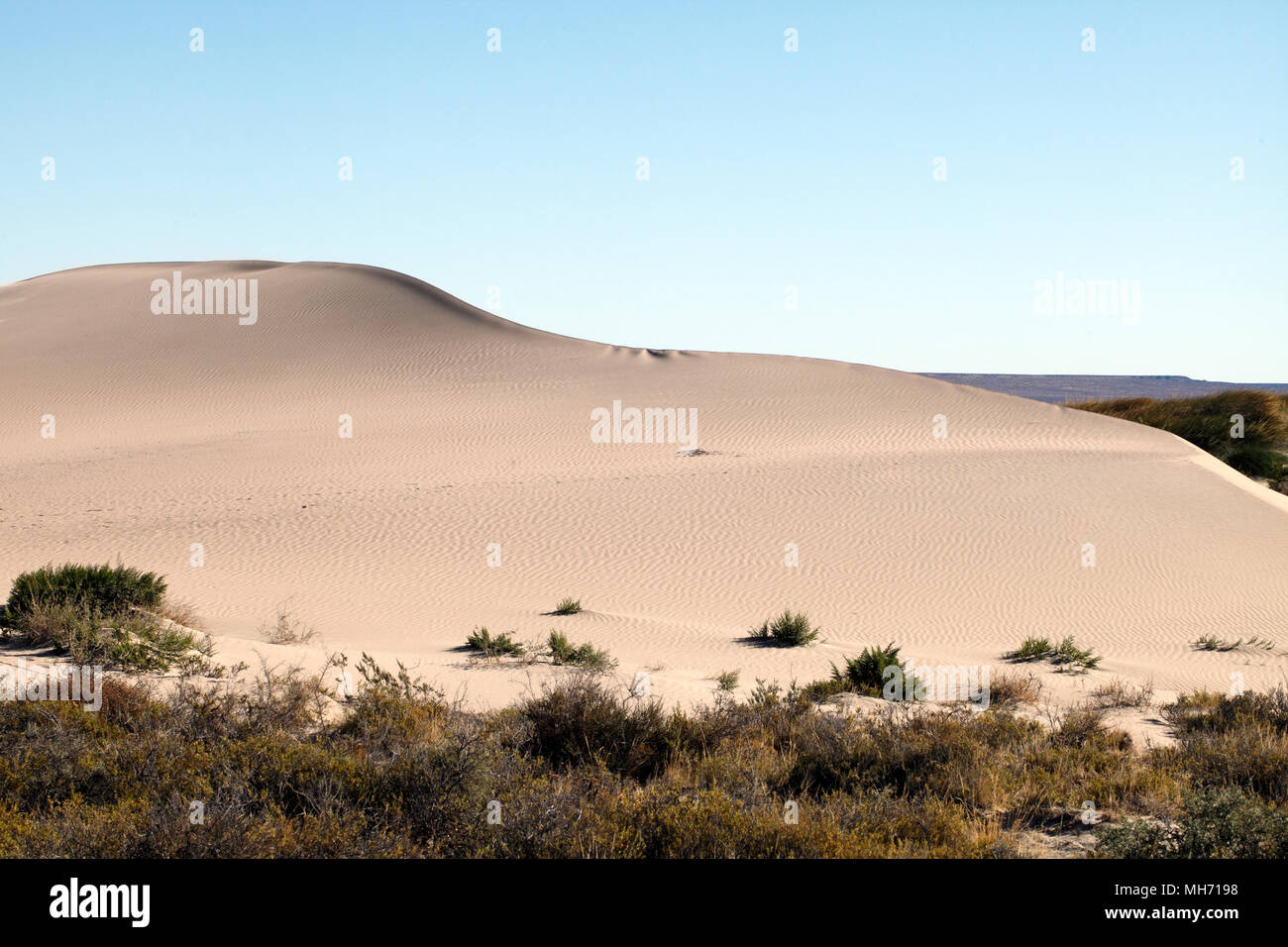Sand Dünen bei Baliza Acantilado in der Nähe von Punta Cuevas, Puerto Madryn, Chubut, Argentinien. Stockfoto