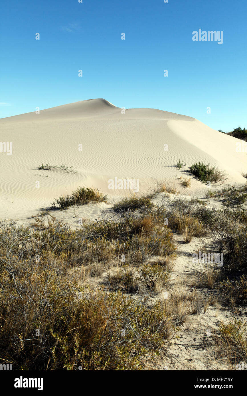 Sand Dünen bei Baliza Acantilado in der Nähe von Punta Cuevas, Puerto Madryn, Chubut, Argentinien. Stockfoto