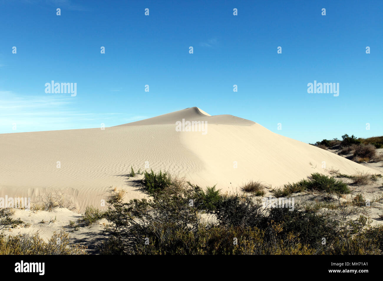 Sand Dünen bei Baliza Acantilado in der Nähe von Punta Cuevas, Puerto Madryn, Chubut, Argentinien. Stockfoto